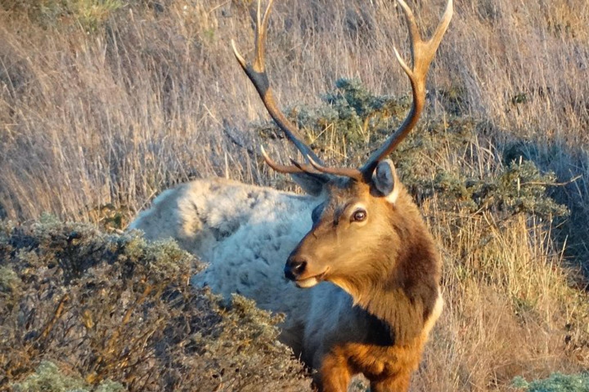 Point Reyes Natural Wonders and Redwoods Tour - Image 3