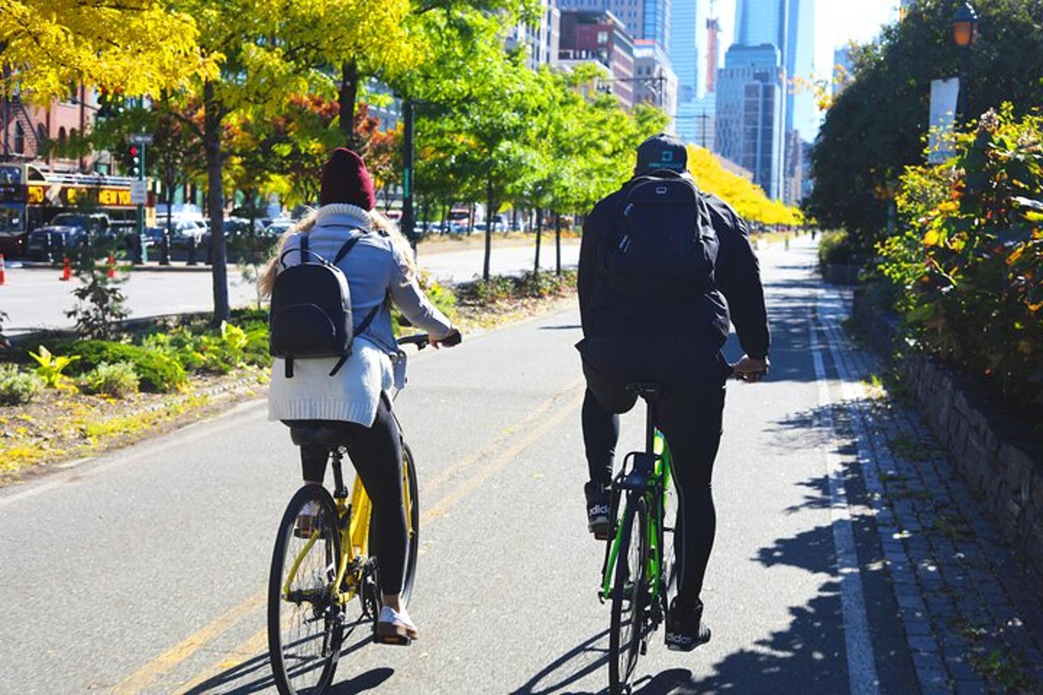 New York City Electric Bike Tour - Image 2