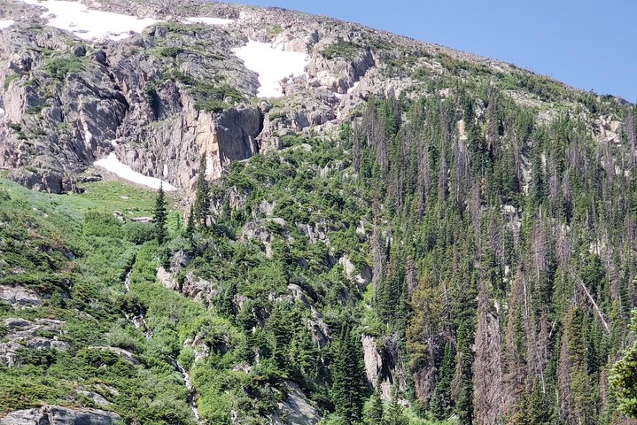 Estes Park Rocky Mountain National Park Tour - Image 4