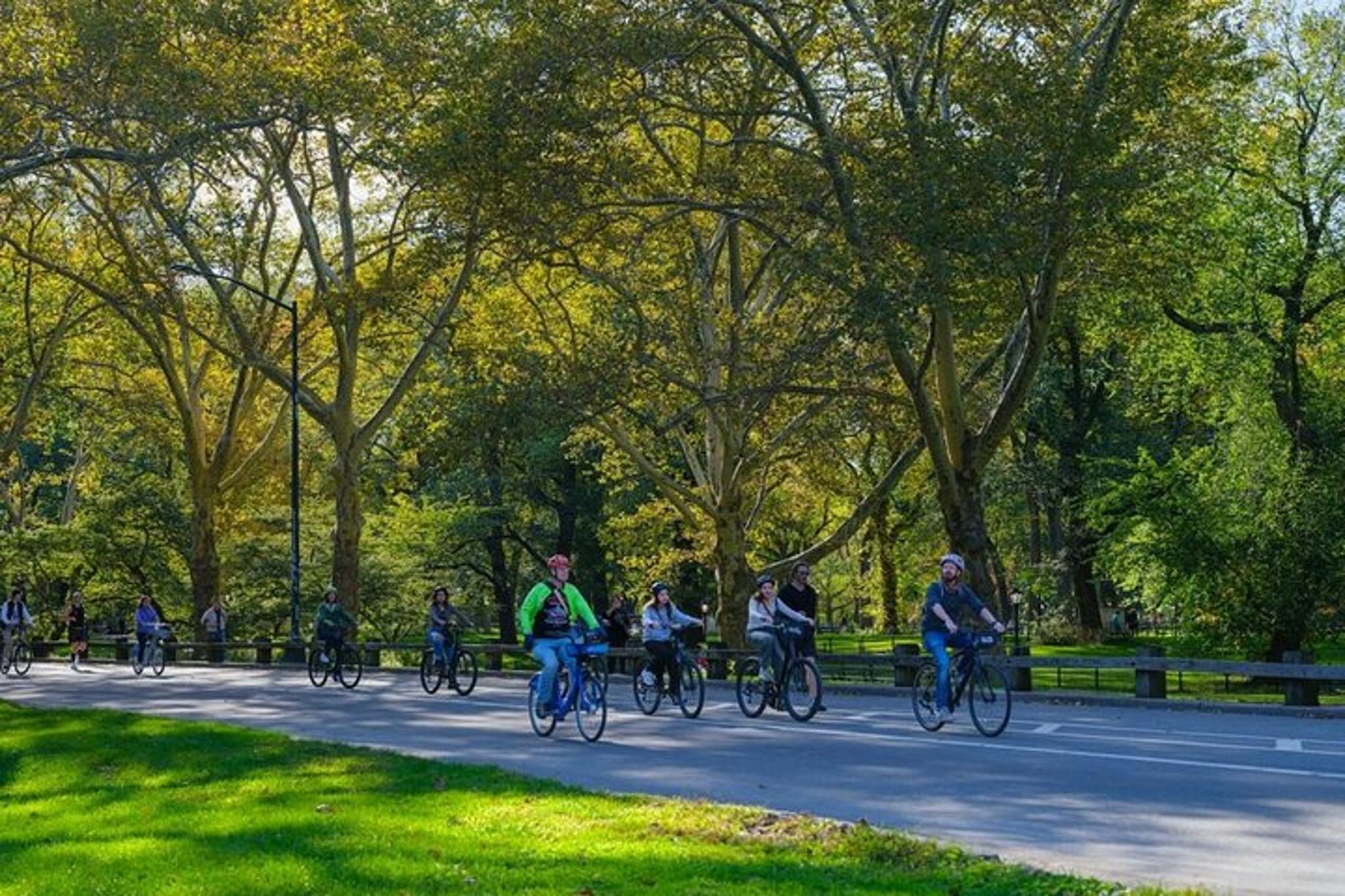 New York Walking Tour and Central Park Cycle