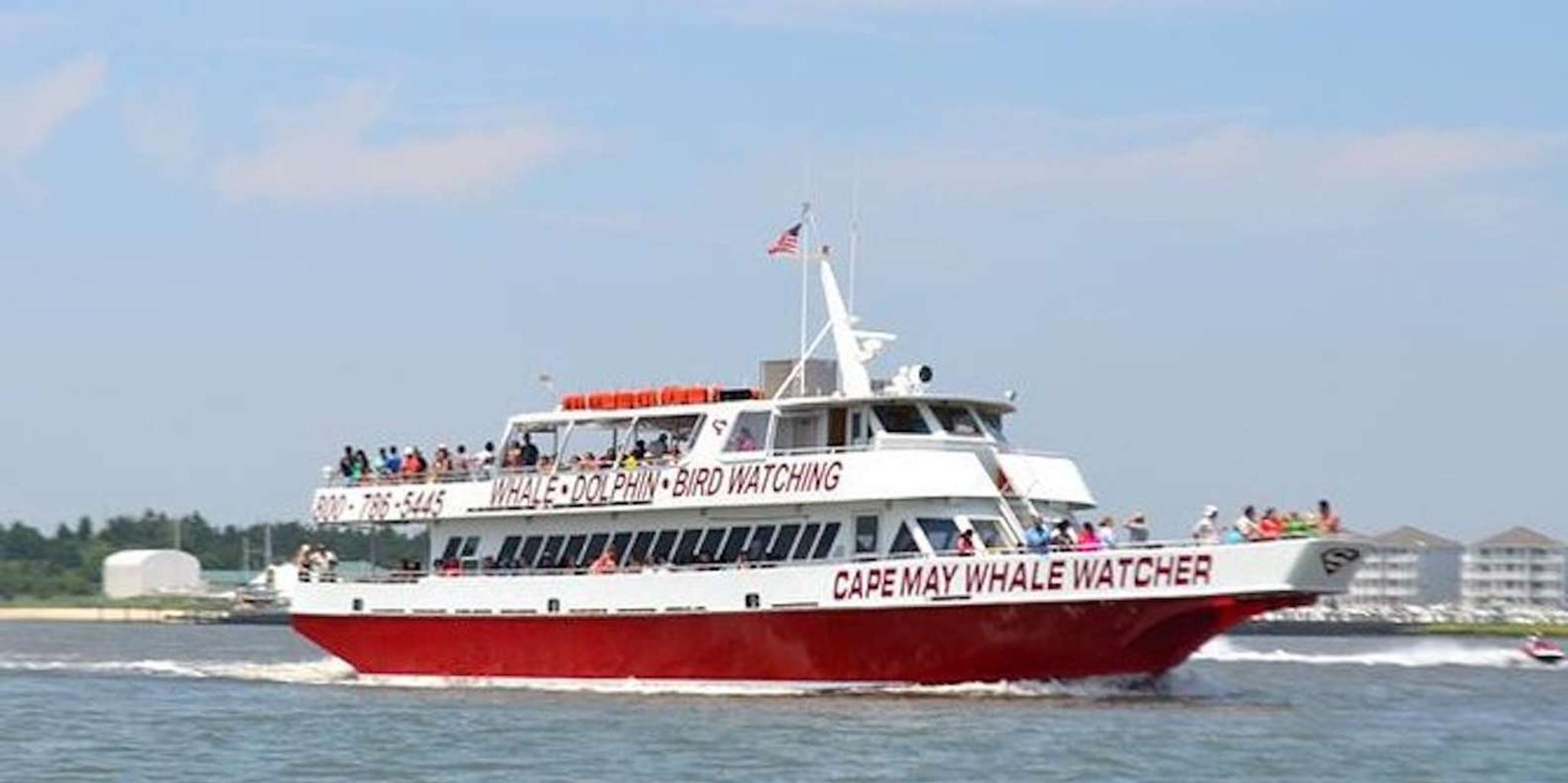 Cape May Lighthouse Cruise - Image 4