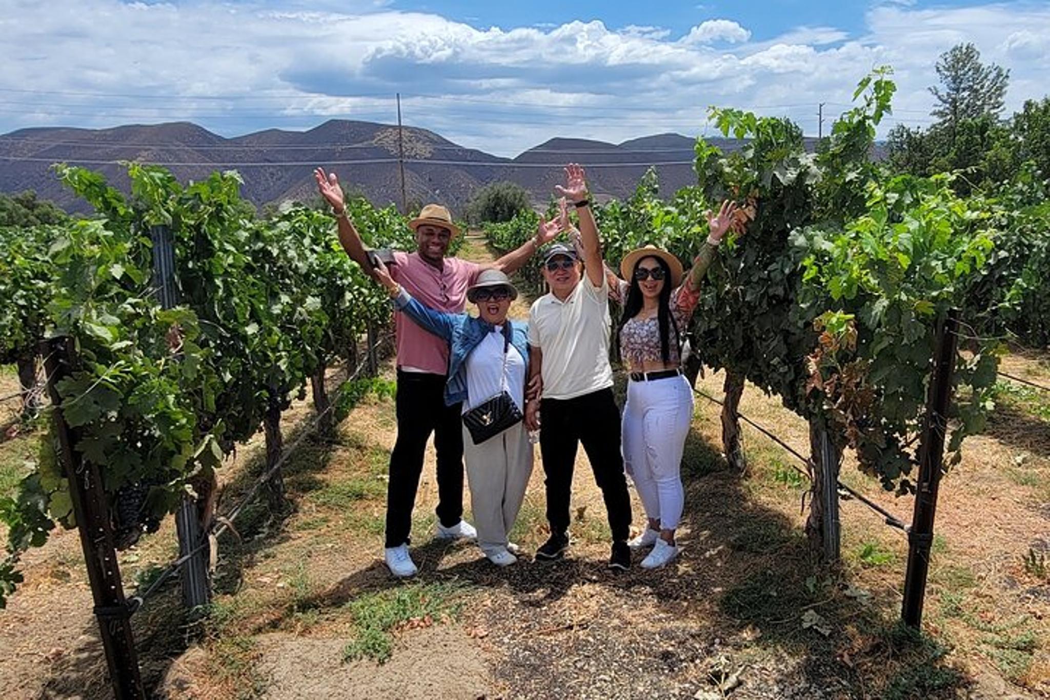Temecula Wine Tour with Local Pick-up - Image 2