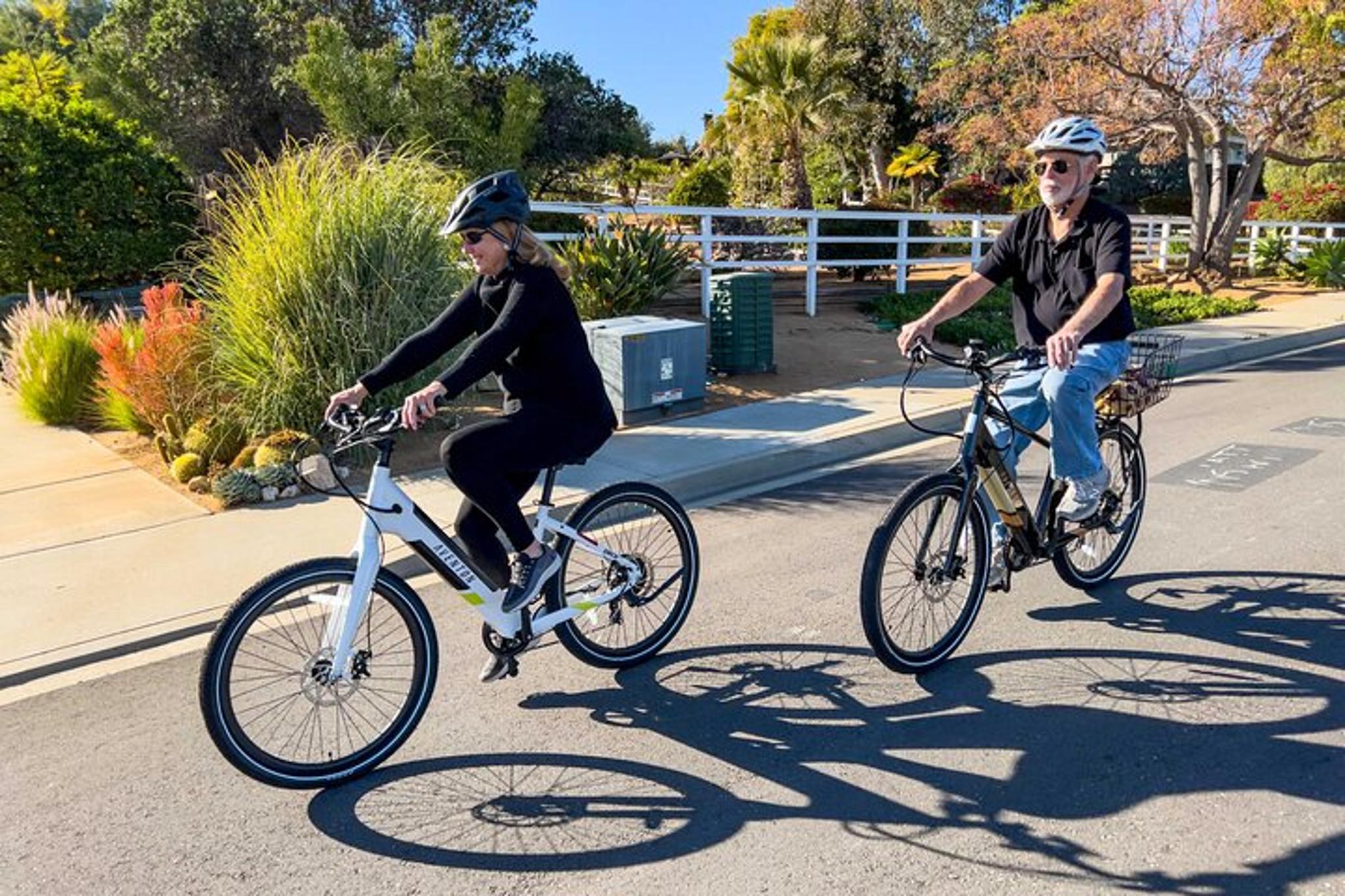 Santa Rosa Beach E-Bike Rentals - Image 4