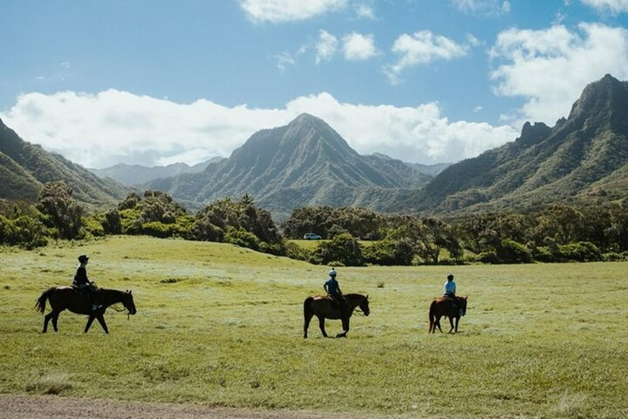 Kaneohe Horseback Riding Tour 2 hr - Image 2