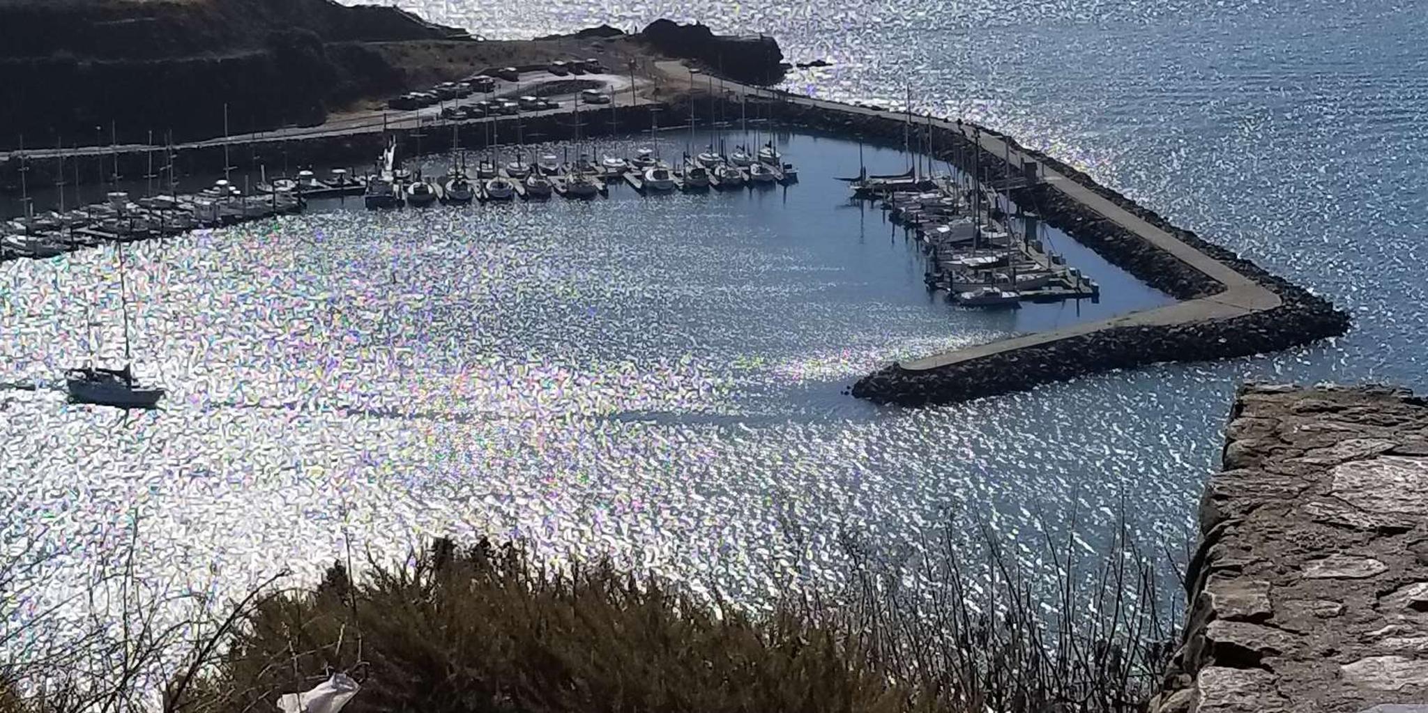 San Francisco Muir Woods and Marin Headlands Tour - Image 3