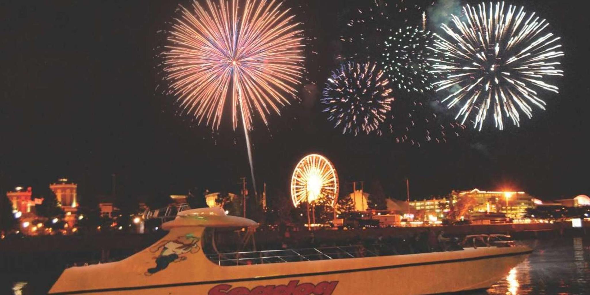 Chicago Seadog Fireworks Cruise - Image 6