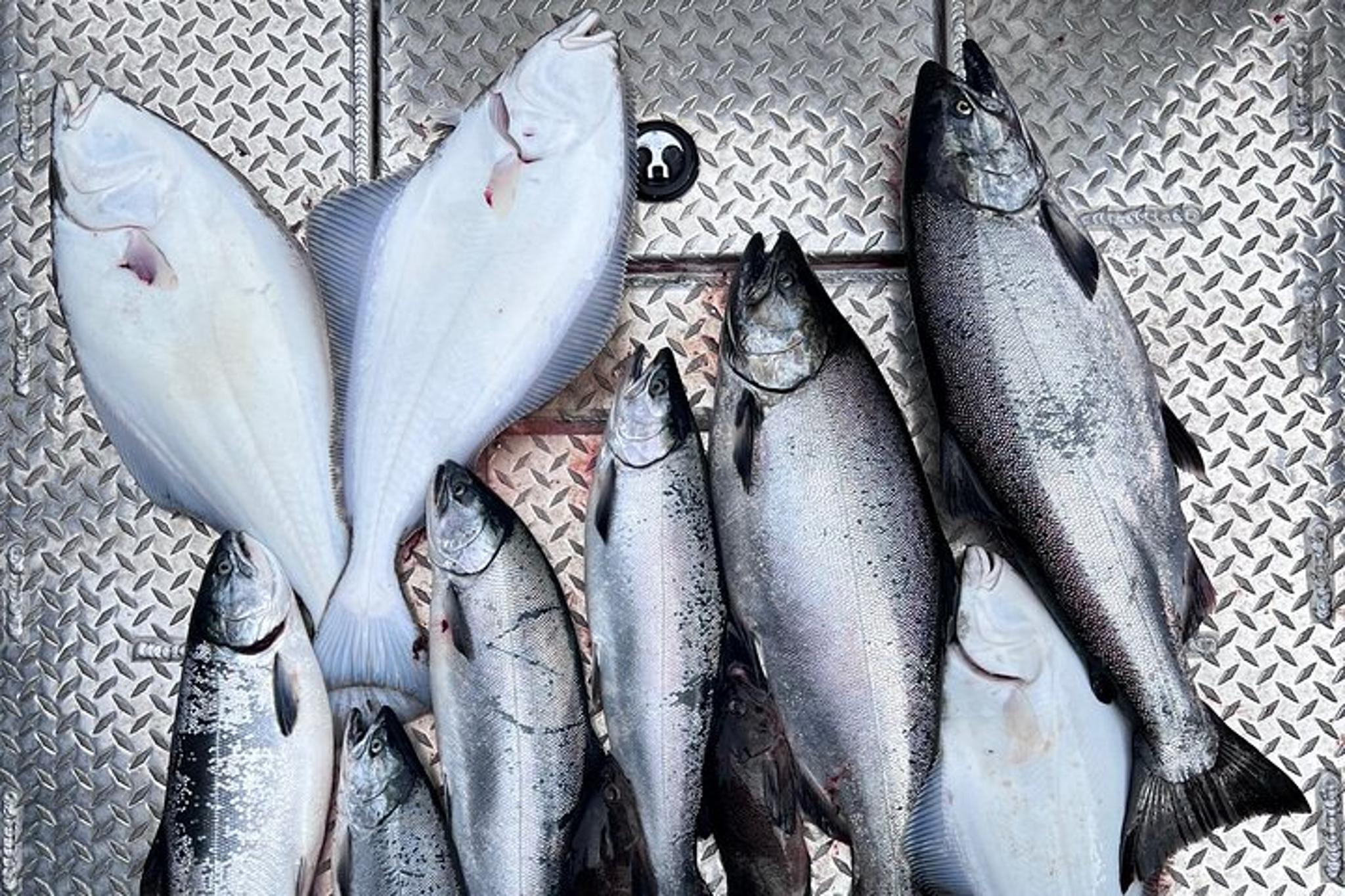 Ketchikan Salmon and Halibut Fishing Adventure - Image 5