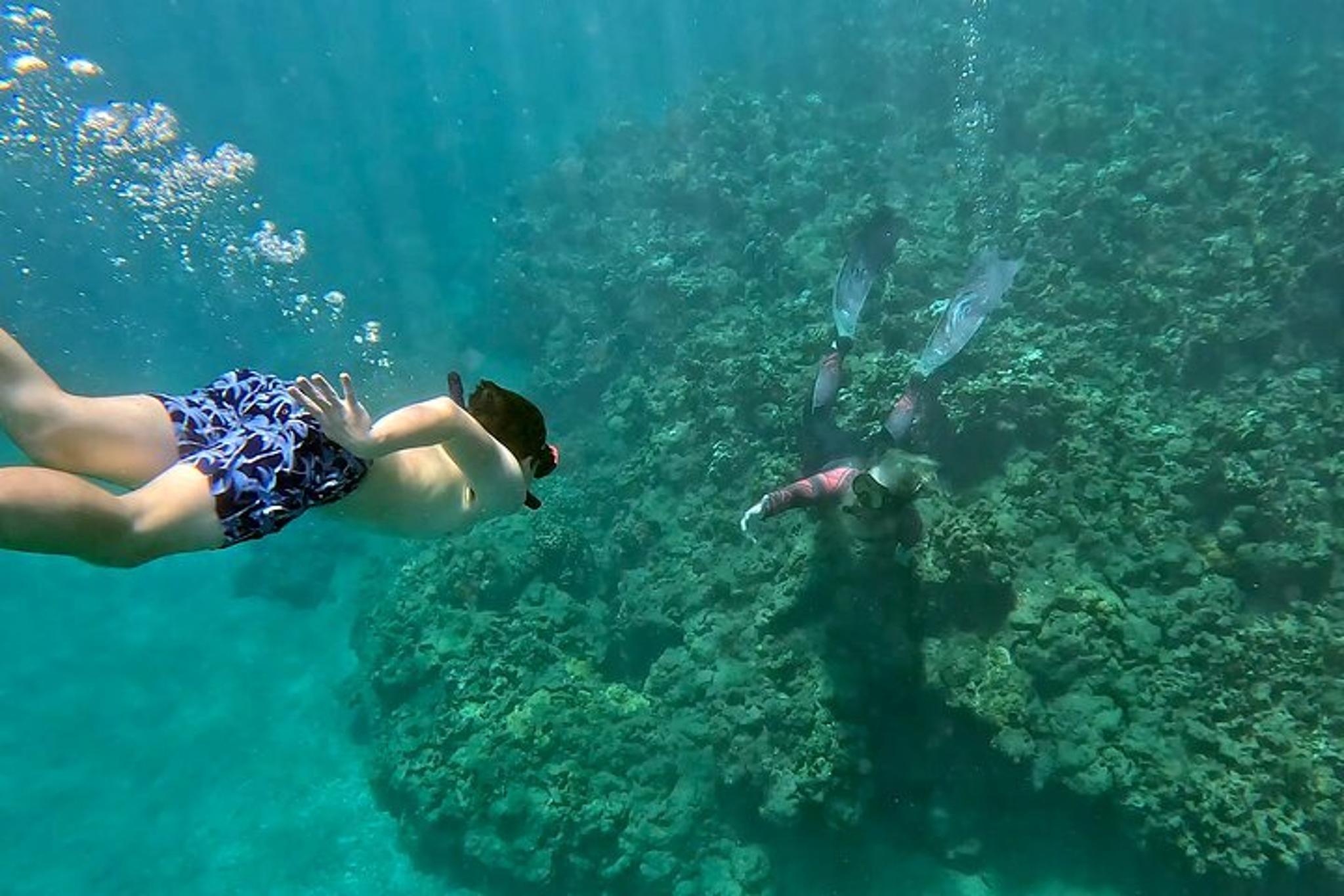 Olowalu Snorkeling Tour for Beginners - Image 5