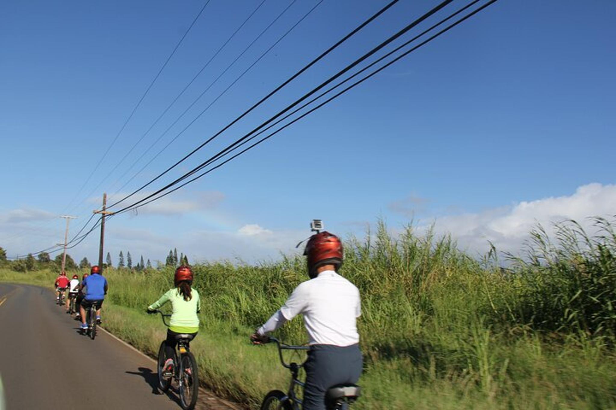 Maui Haleakala Bike Tour at Dawn