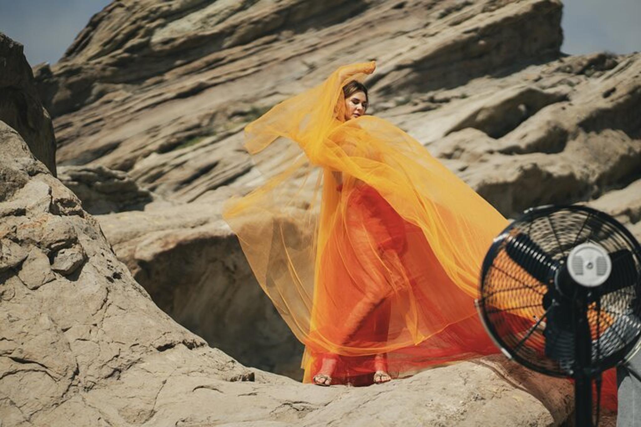 Los Angeles Star Tour Experience - Image 5