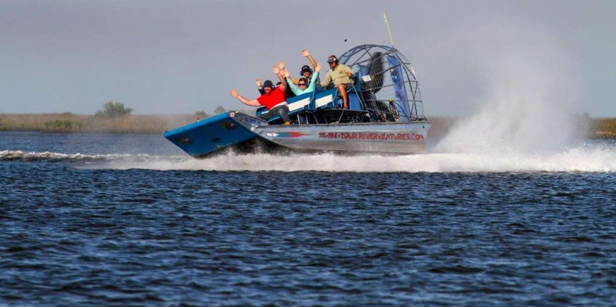 Homosassa Airboat Ride and Dolphin Watching - Image 3