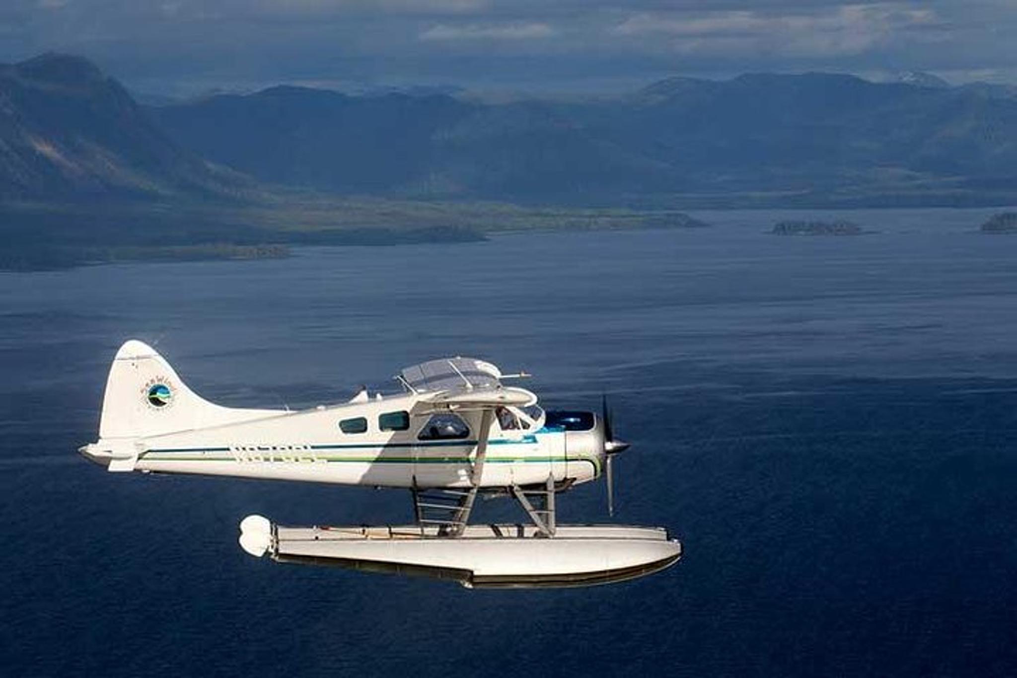Ketchikan Bear-Viewing Air Tour - Image 3