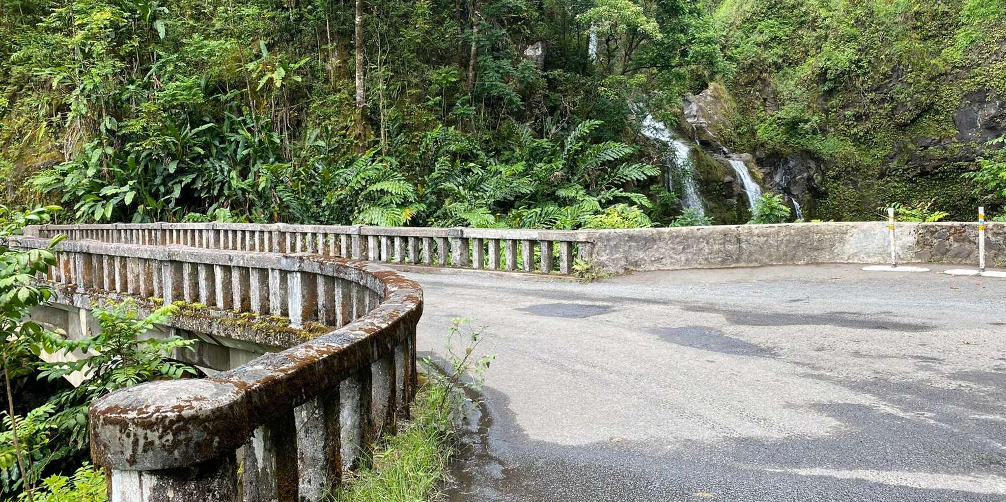 Maui Road to Hana Private Adventure - Image 5