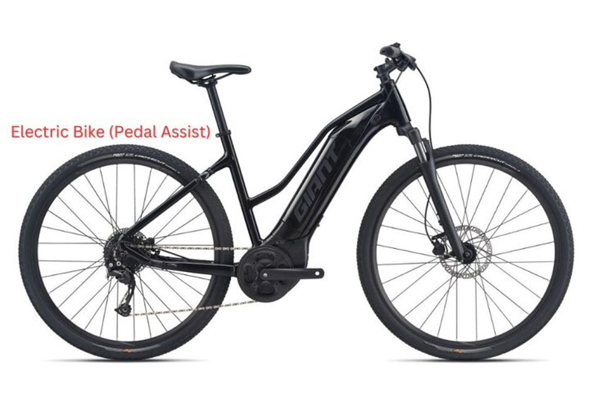 Los Angeles Bike Rental: Pedal or Electric Options - Image 4