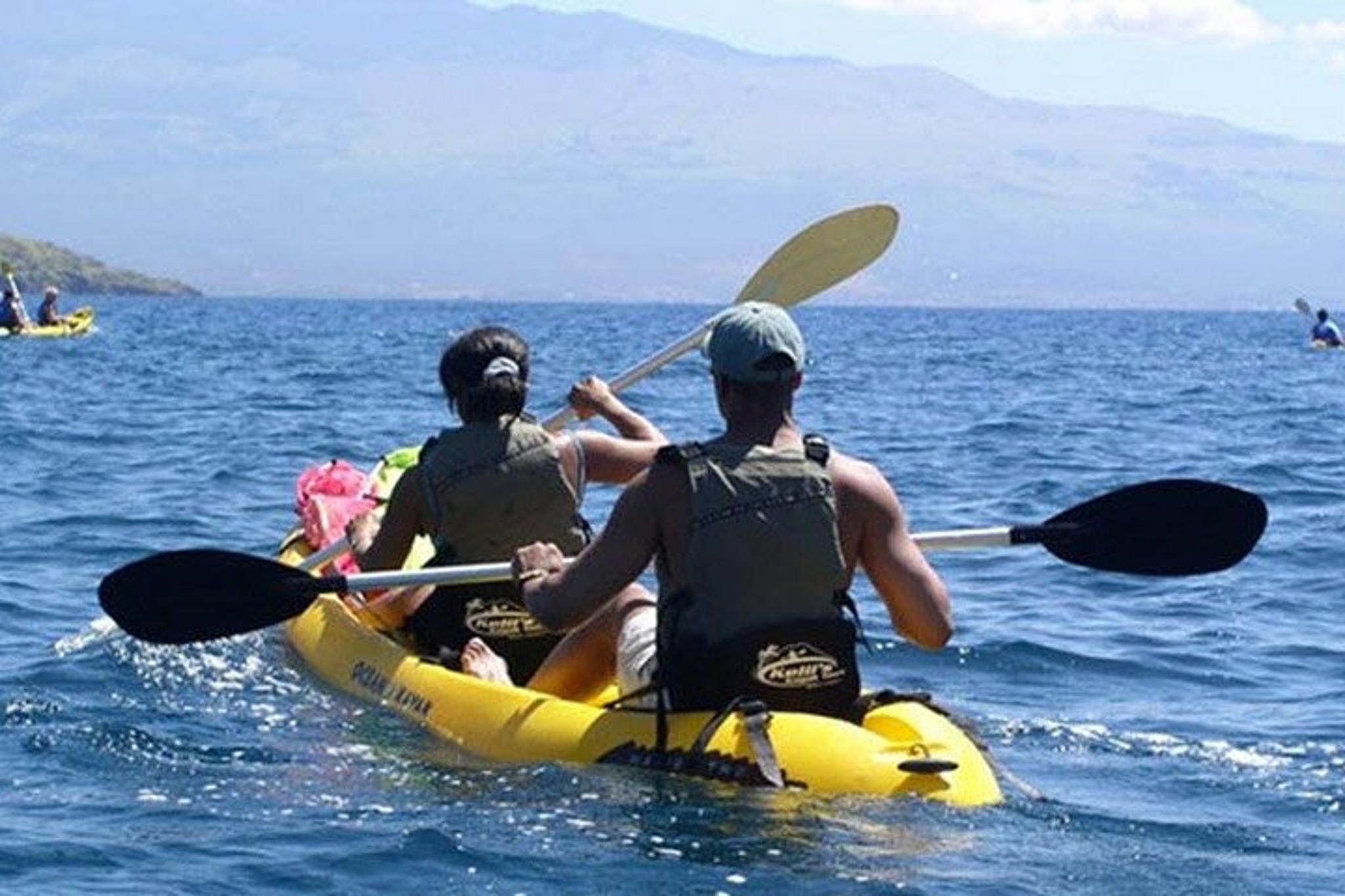Maui Paddle, Snorkel, and Surf Adventure - Image 4