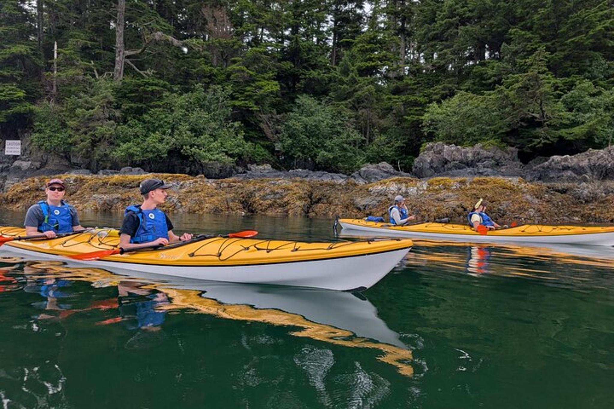 Sitka Kayak Tour of War Bunkers and Wildlife - Image 6