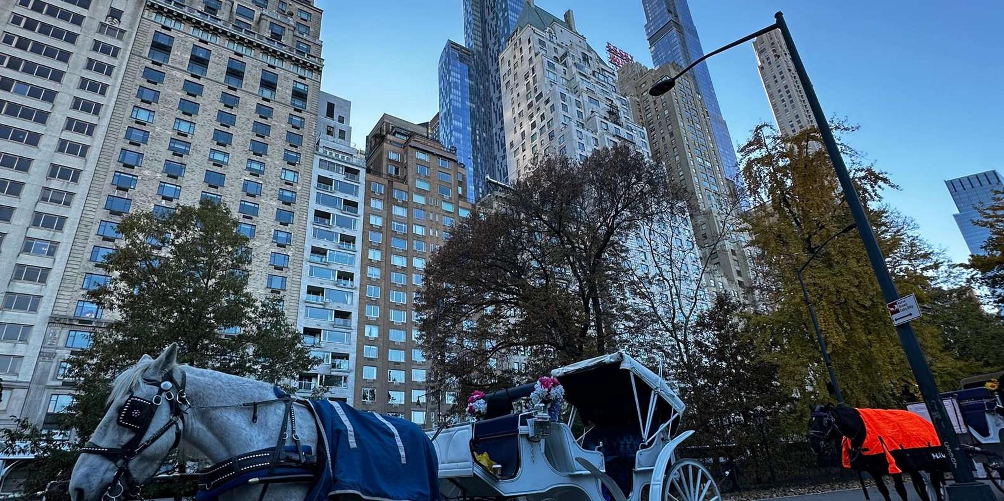 New York Central Park Horse-Drawn Carriage Tour - Image 4