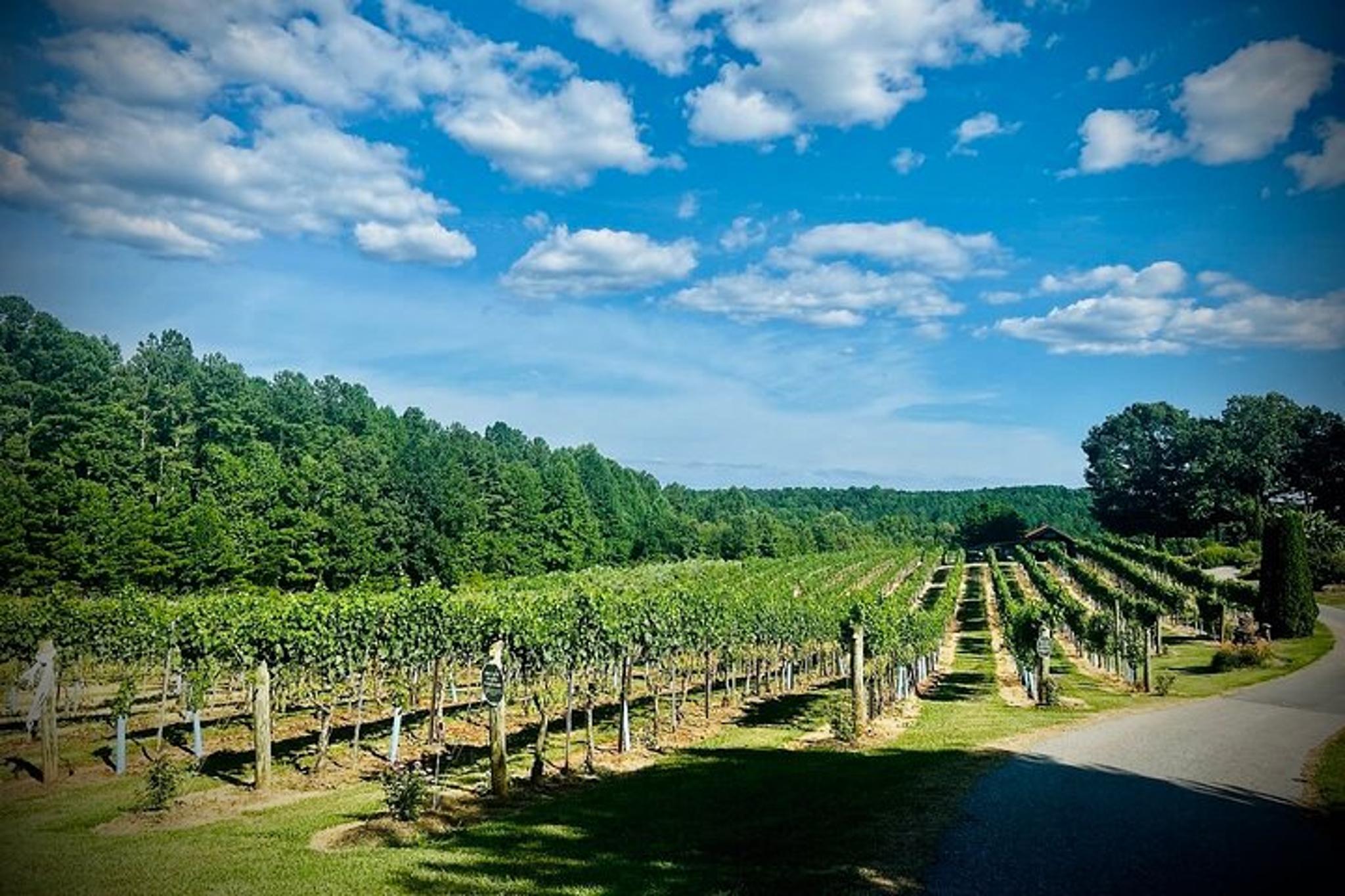 Asheville Private Wine Tour - Image 6
