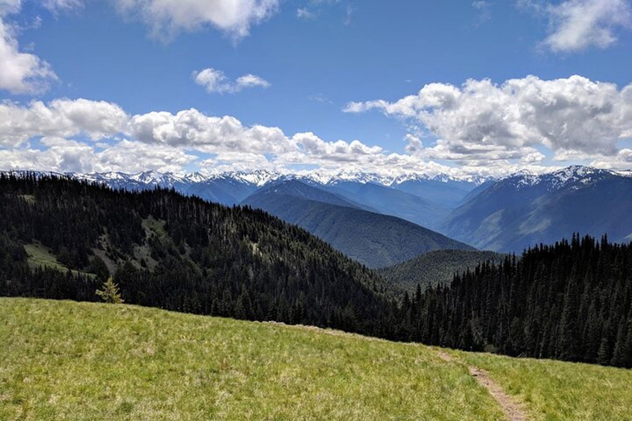 Olympic National Park Private Day Tour with Lunch - Image 1