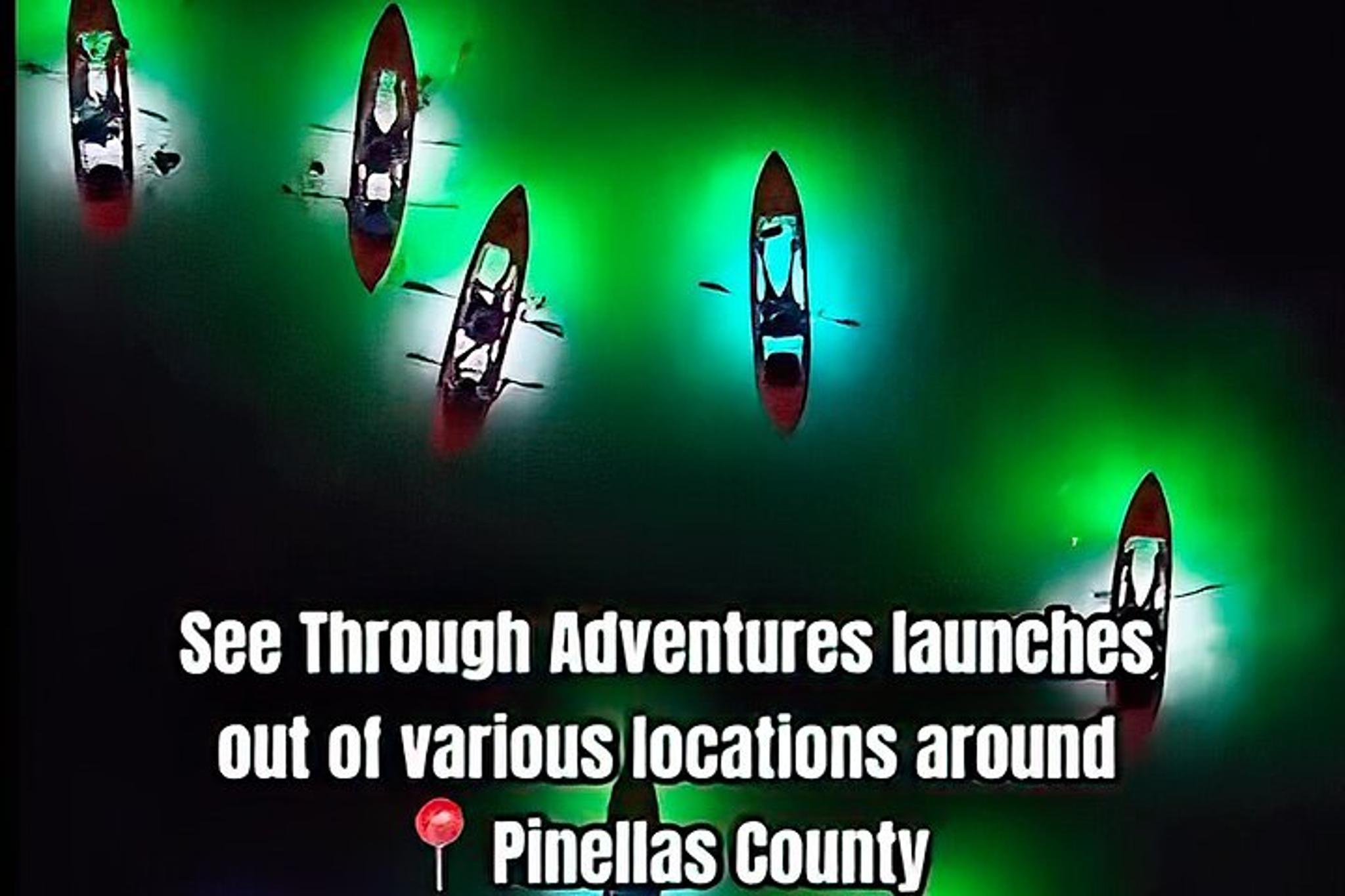 Tierra Verde Clear Kayak LED Night Tour - Image 3