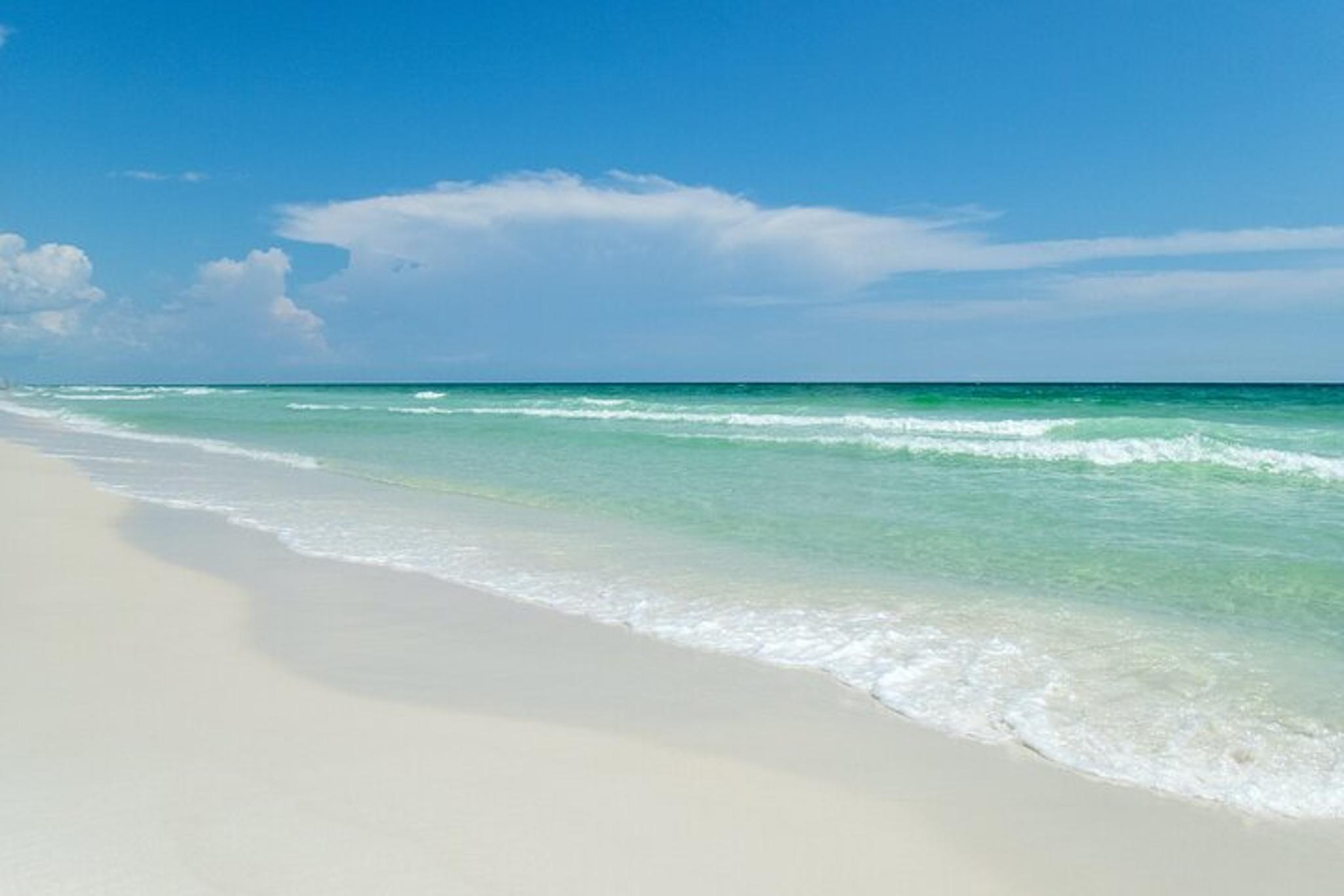 Destin Snorkeling and Dolphin Watching Experience - Image 6
