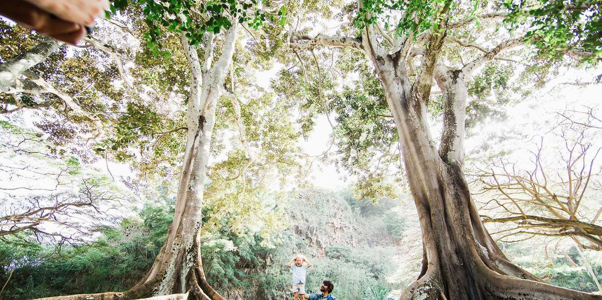 Kauai Allerton Garden Guided Walking Tour 2.5 hr