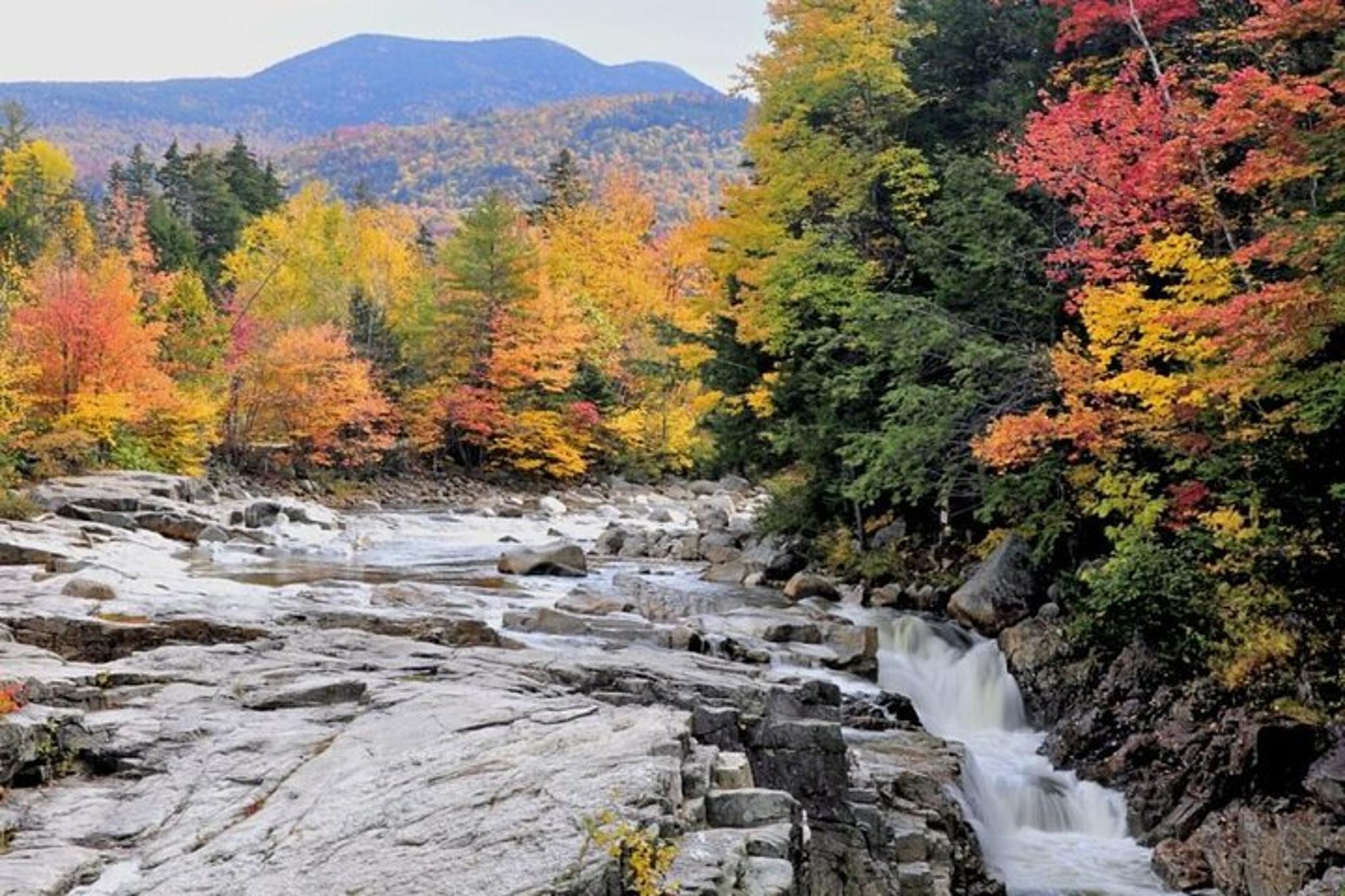 Boston Fall Foliage Day Trip to White Mountains - Image 2