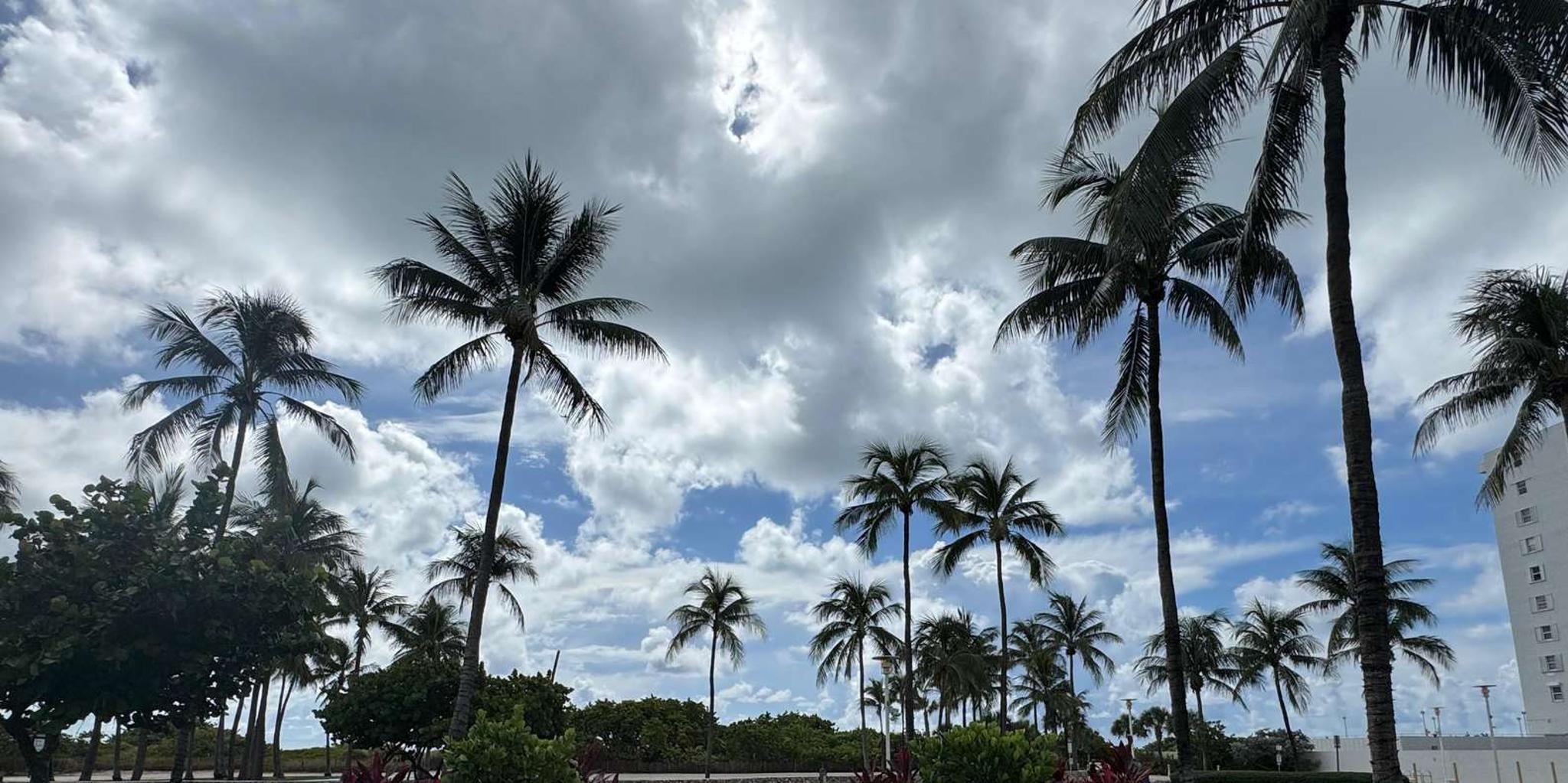 Miami Millionaire Cruise & Bus Tour - Image 3