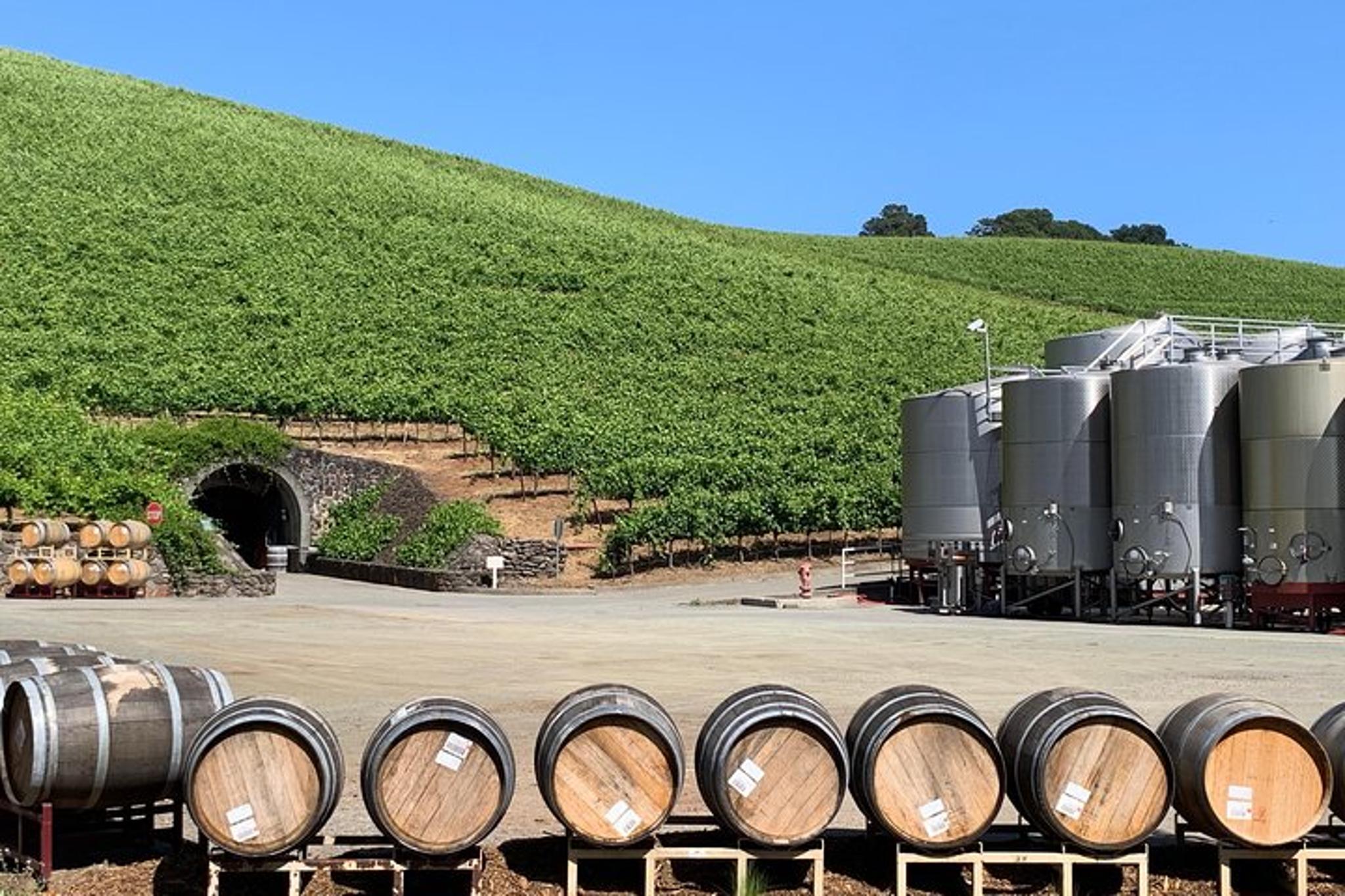 Sonoma Napa Private Wine Tour 8 hr - Image 4