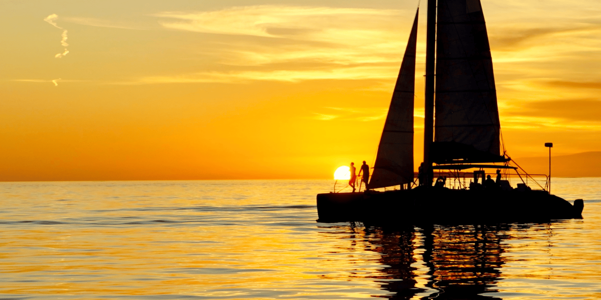 Key West Dolphin Watch and Sunset Sail - Image 2