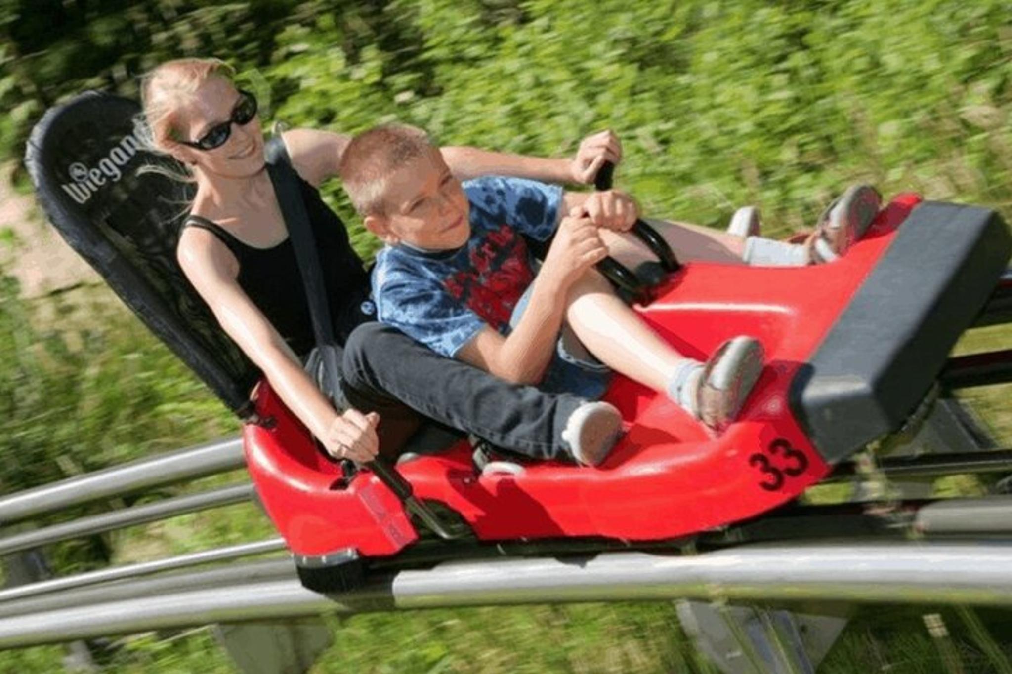 Branson Mountain Coaster - Image 3