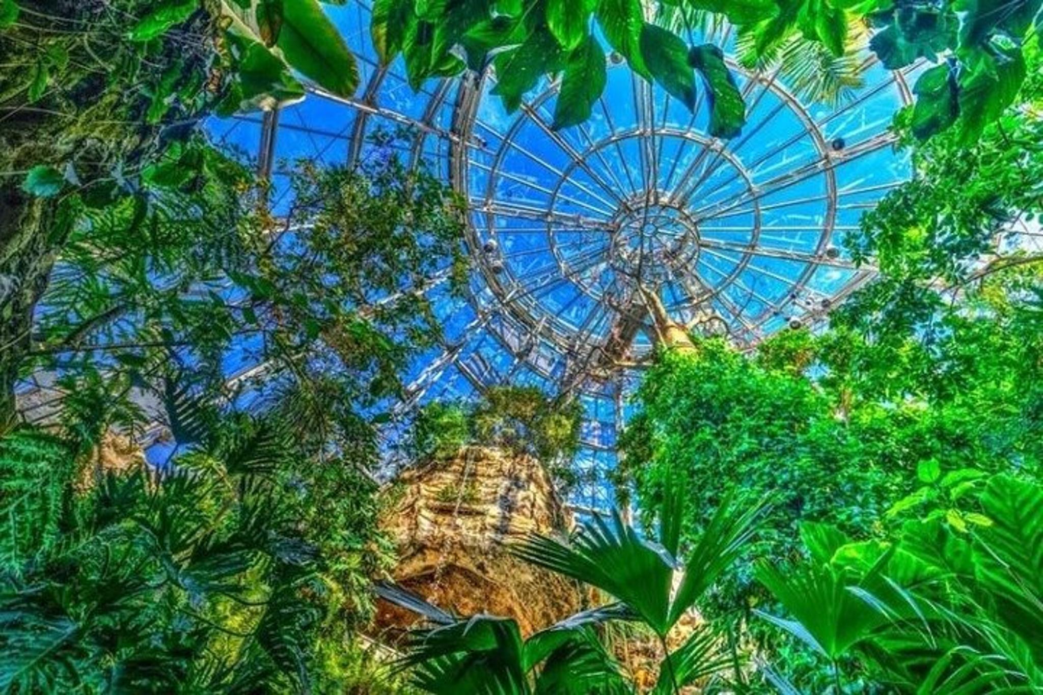 Houston Mural Tour & Butterfly Center 90 Min - Image 3