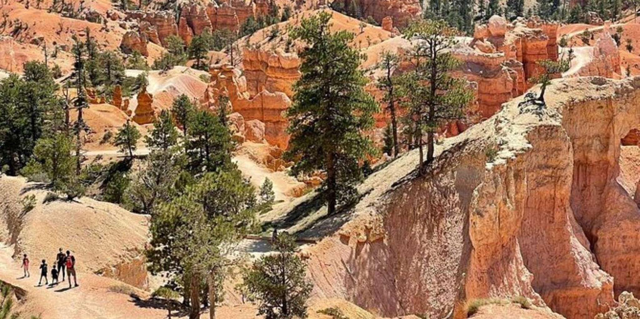 Las Vegas Zion National Park Private Tour - Image 2