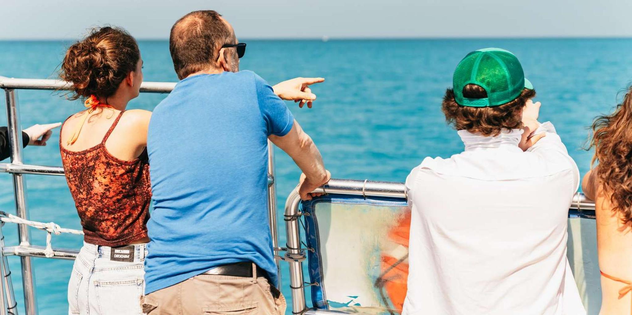 Key West Dolphin Watching and Snorkeling Eco Cruise - Image 5