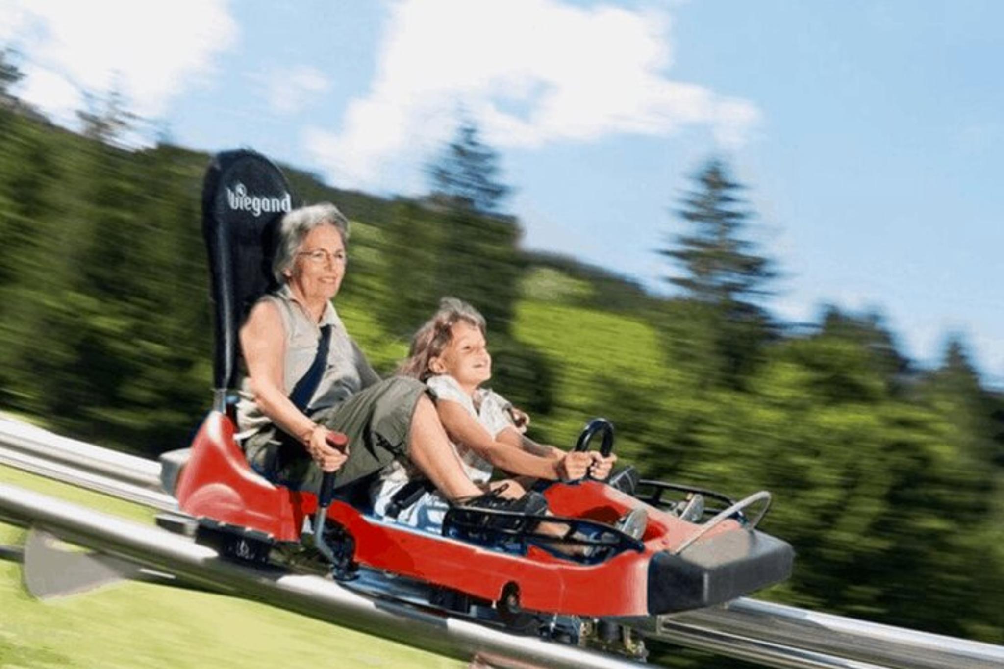 Branson Mountain Coaster - Image 4