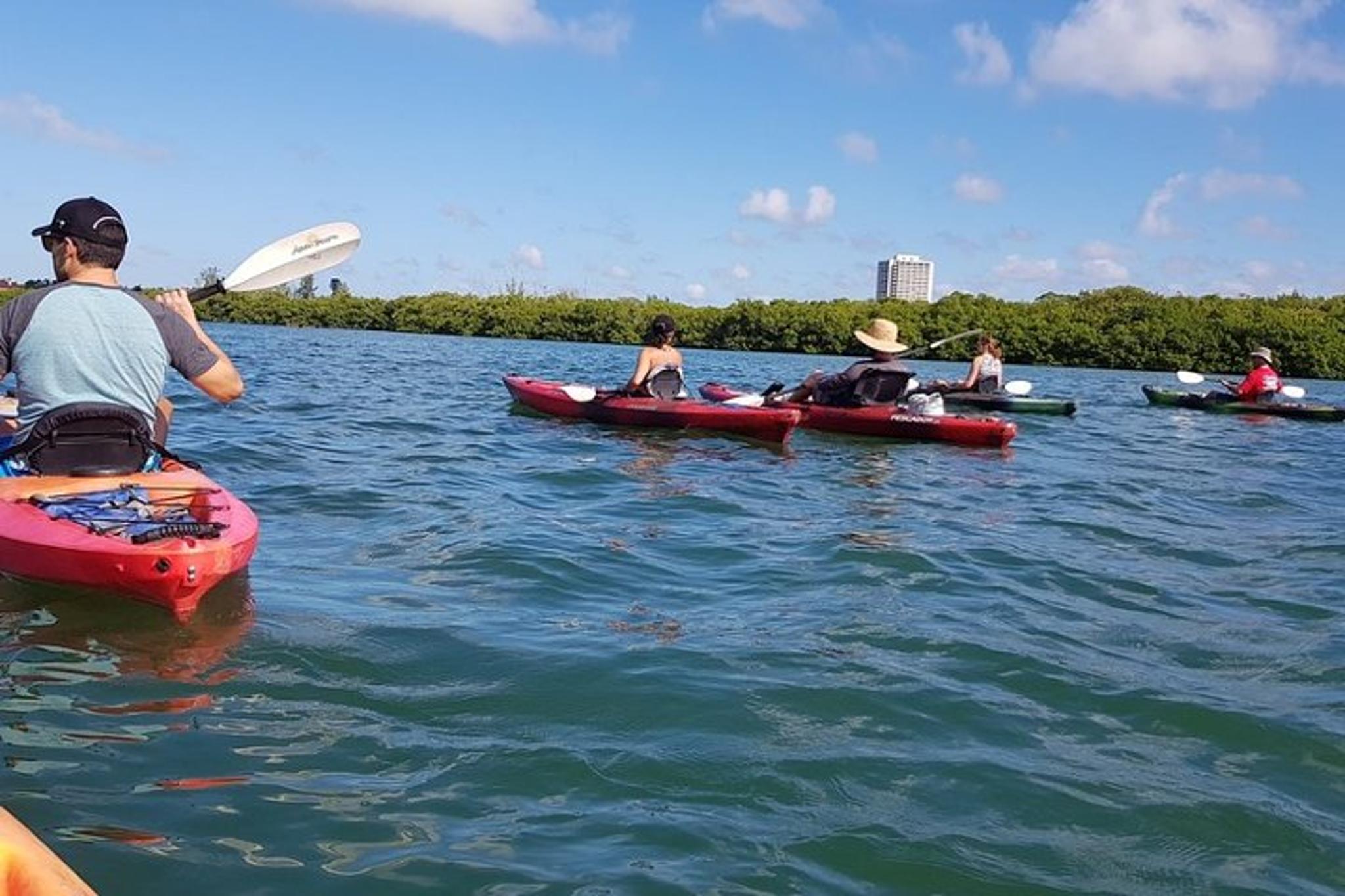 Sarasota Mangrove Tunnel Kayak Tour - Image 6