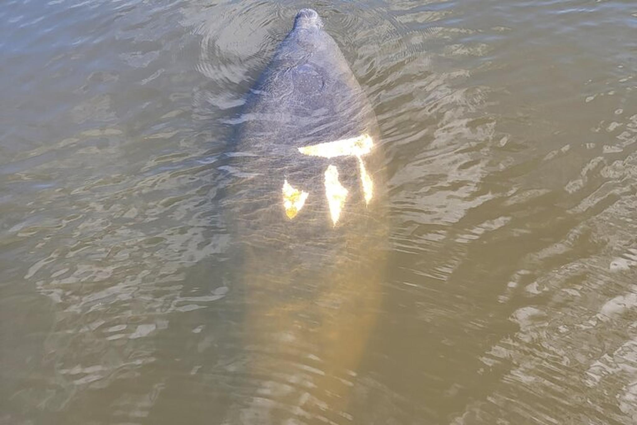 Fort Myers Beach Boat Tour for 12 - Image 5