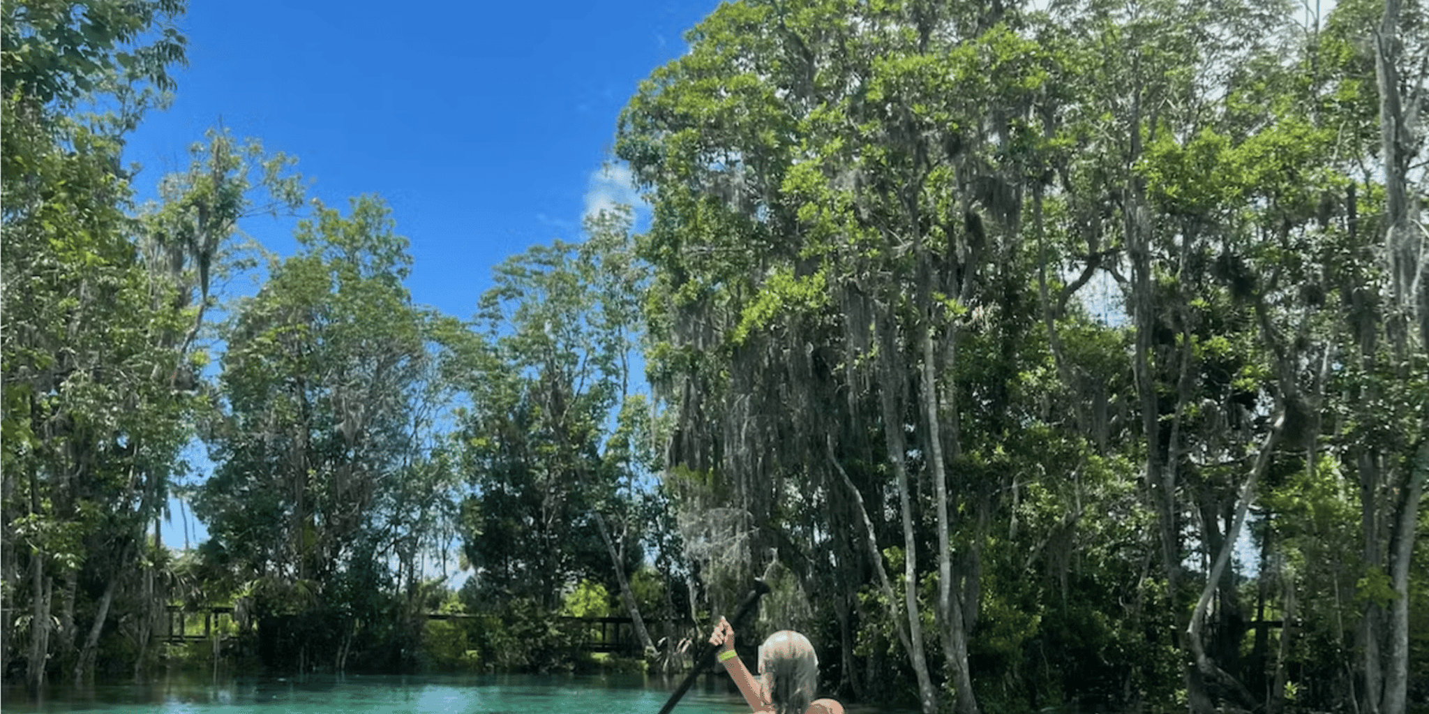 Crystal River Paddle Board Rental - Image 6