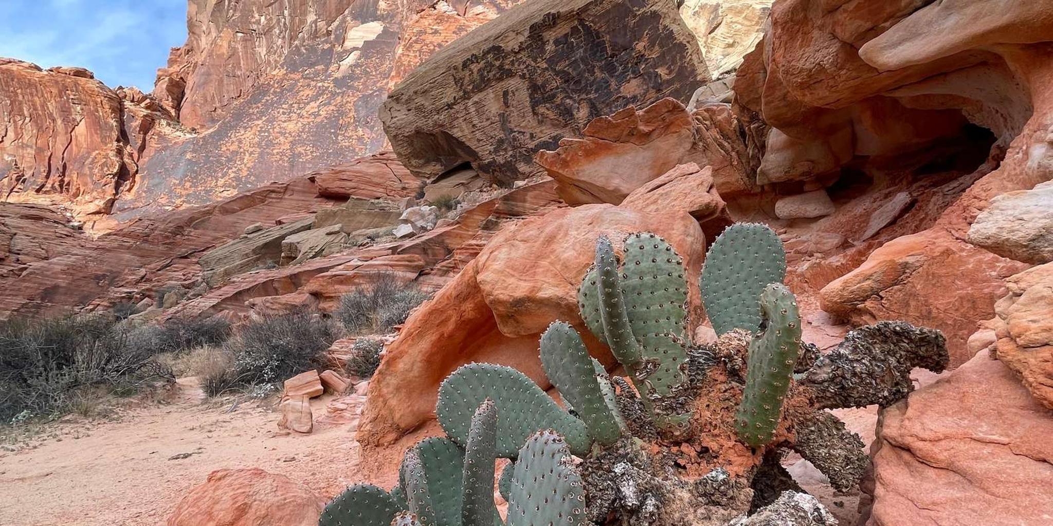 Las Vegas Valley of Fire Private Adventure - Image 4