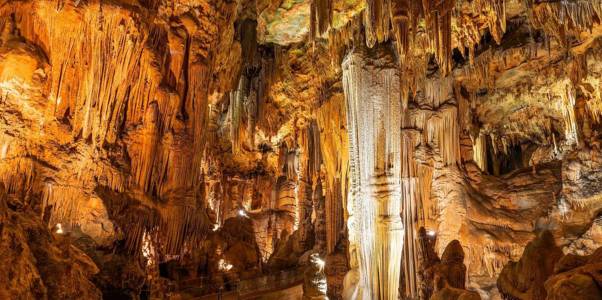 Washington DC Luray Caverns Day Trip - Image 4