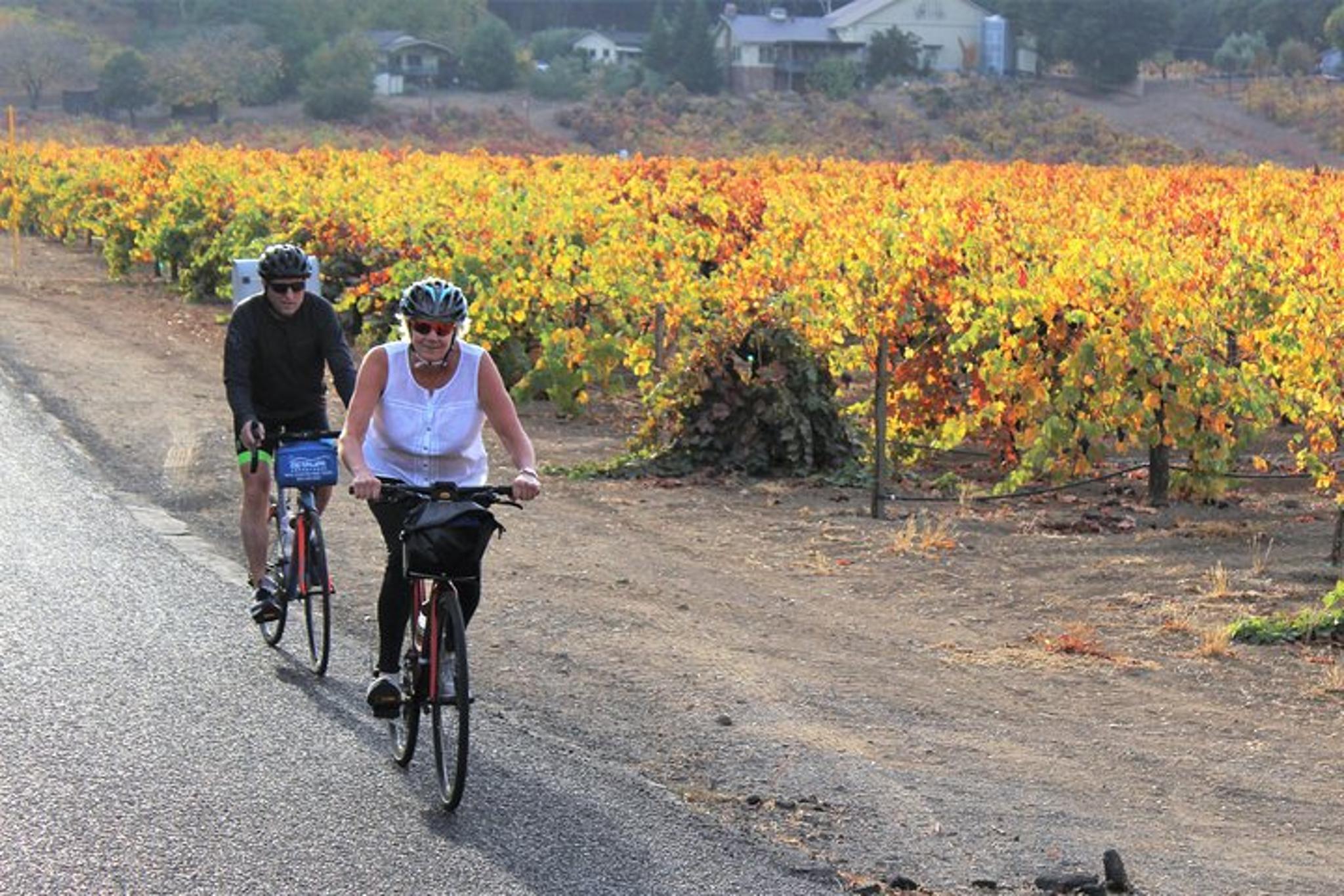 Healdsburg Wine Country Bike and Tasting Tour - Image 6