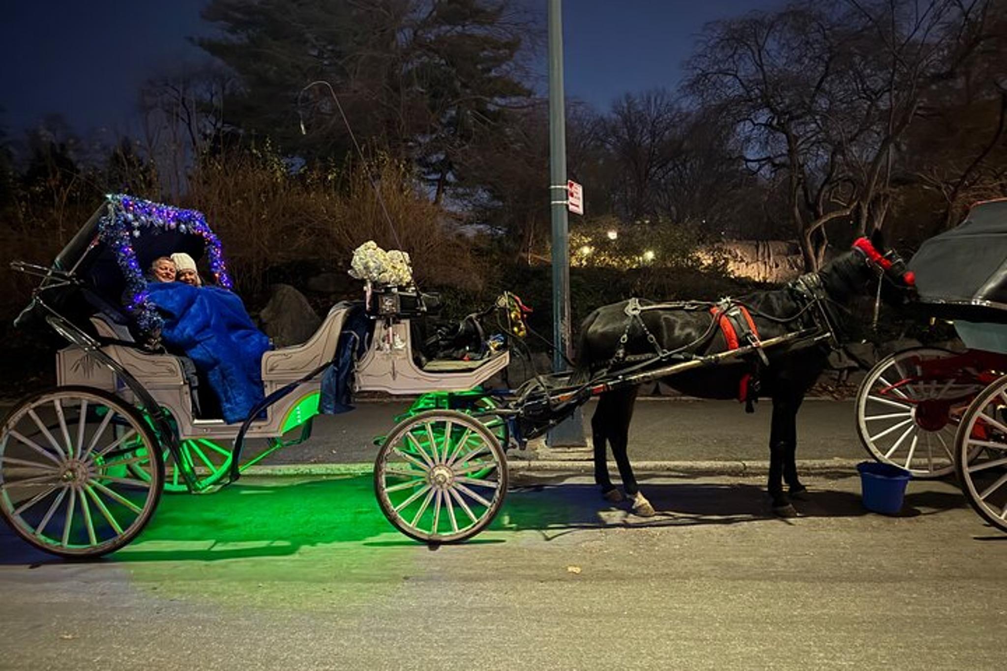 New York City Christmas Light Tour - Image 6