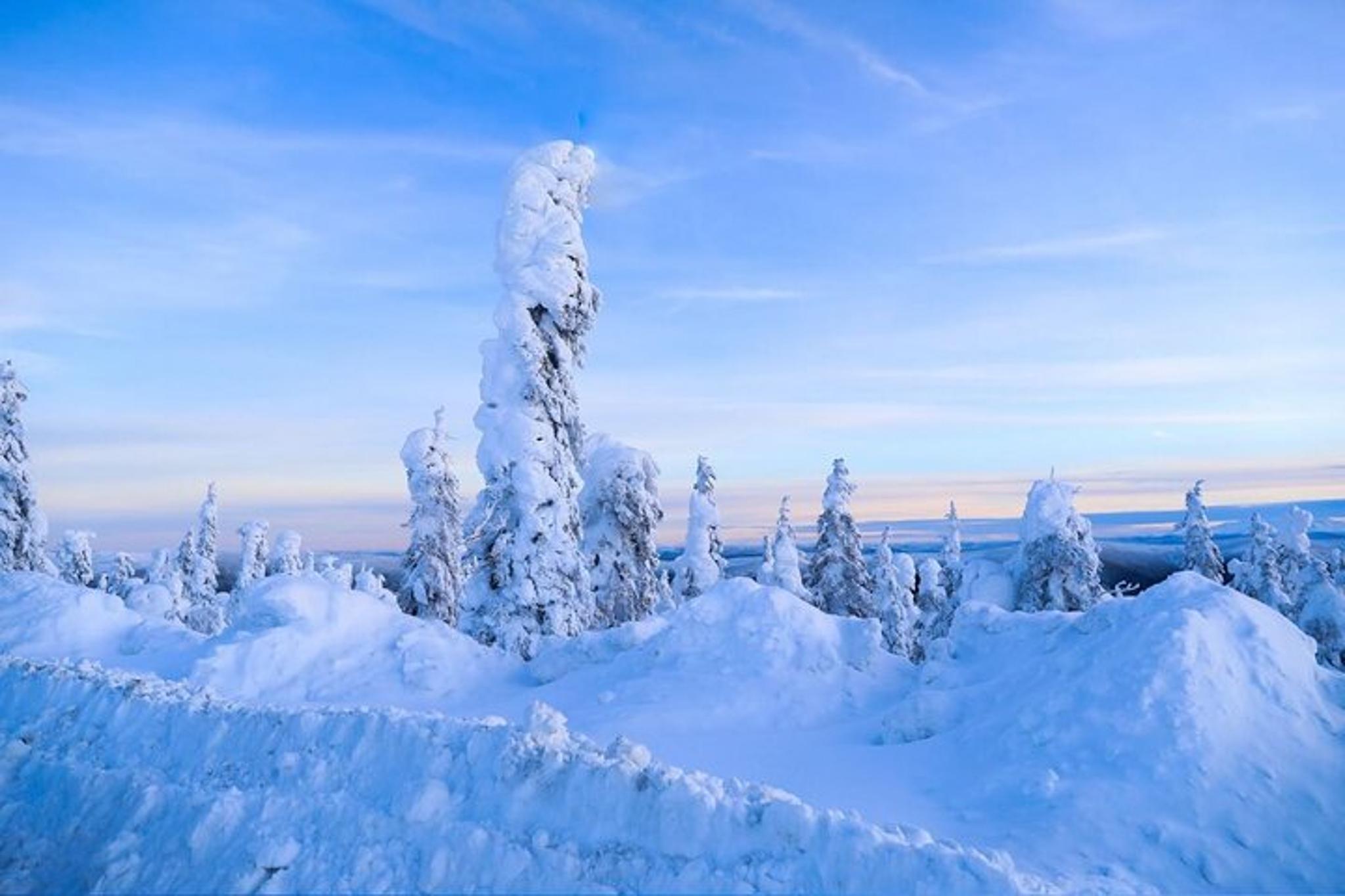 Fairbanks Arctic Circle Day Tour - Image 4