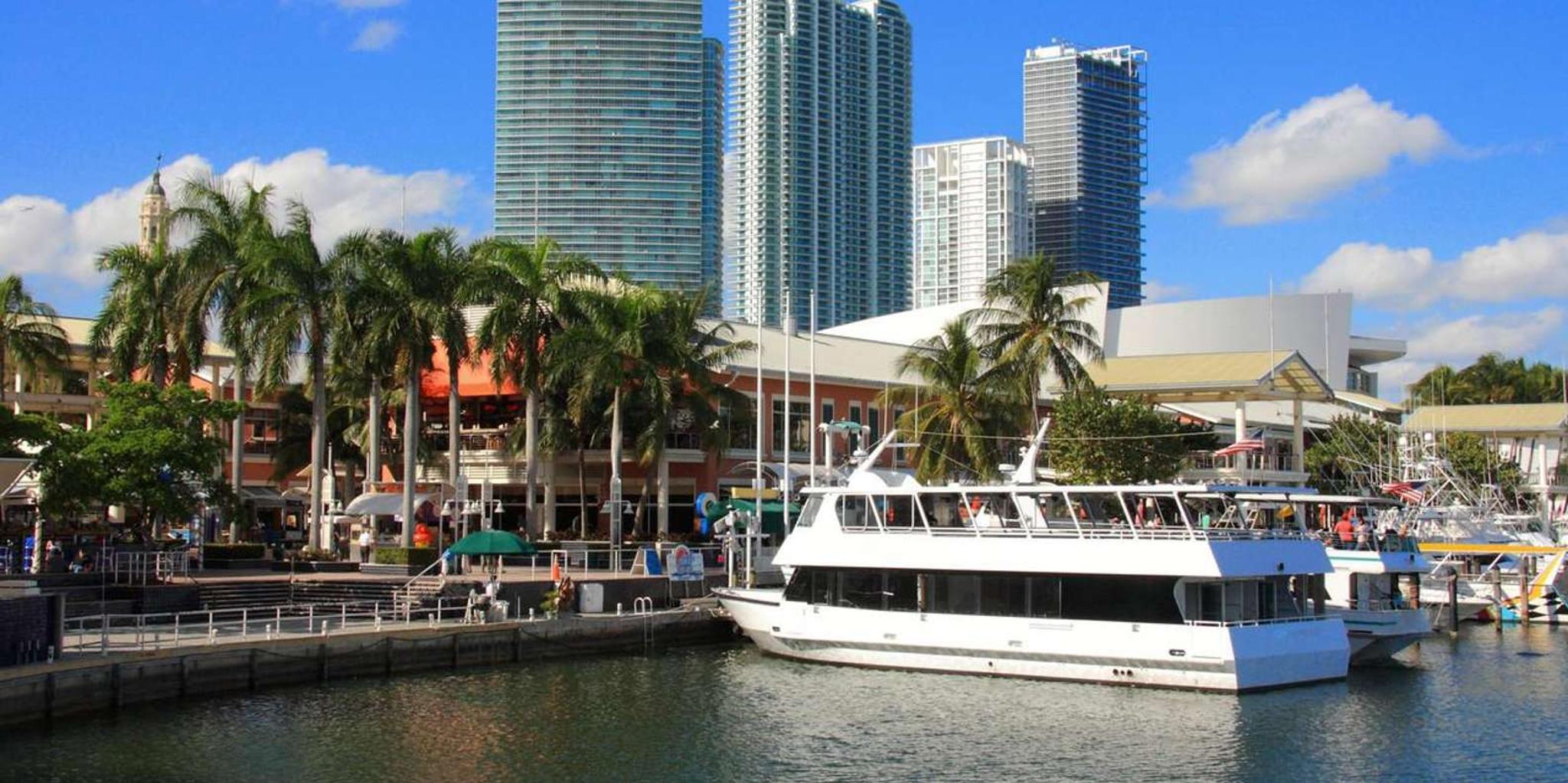Miami Everglades Airboat Safari Adventure - Image 3