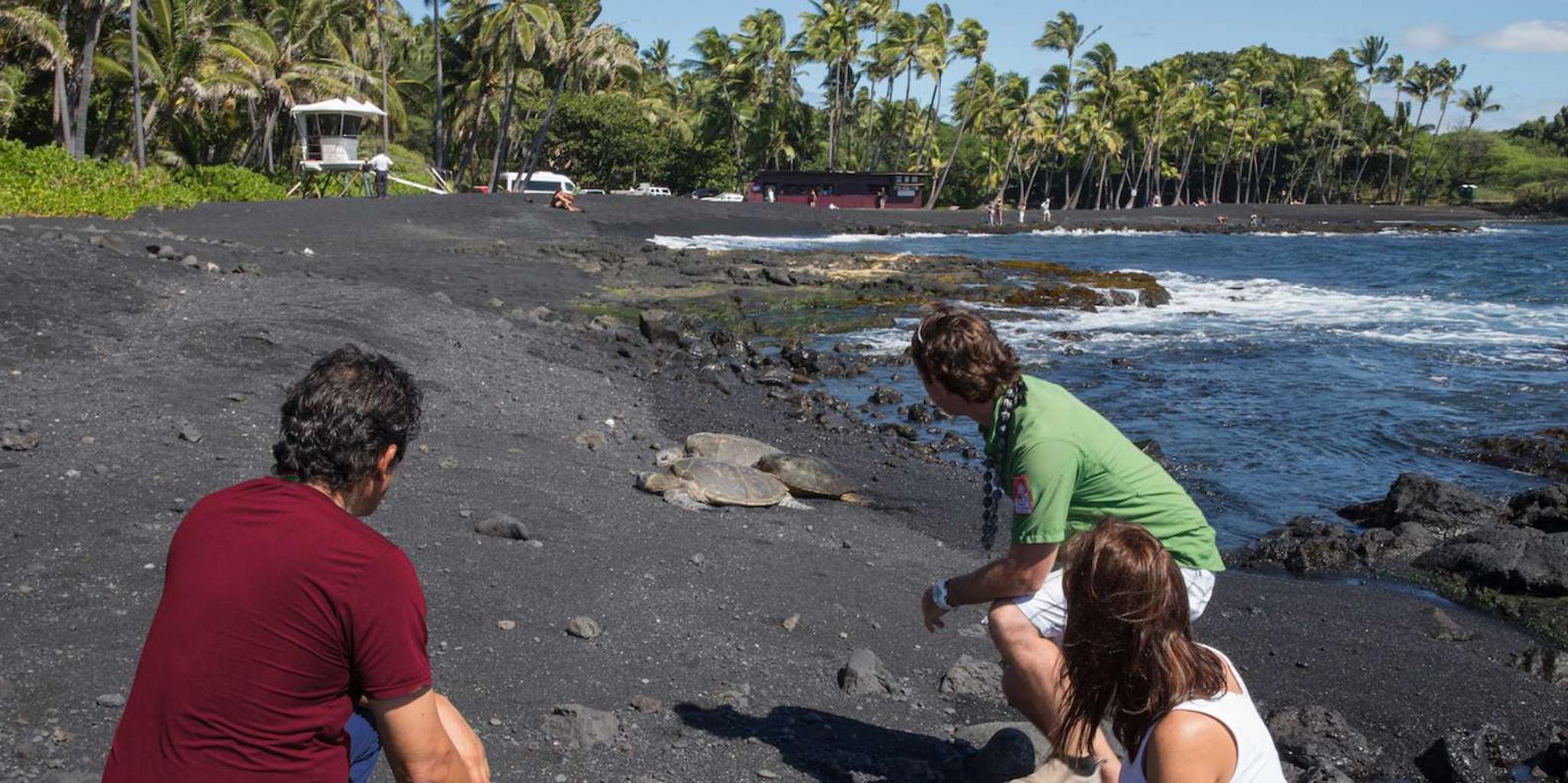 Big Island Volcanoes and Waterfalls Day Tour - Image 6