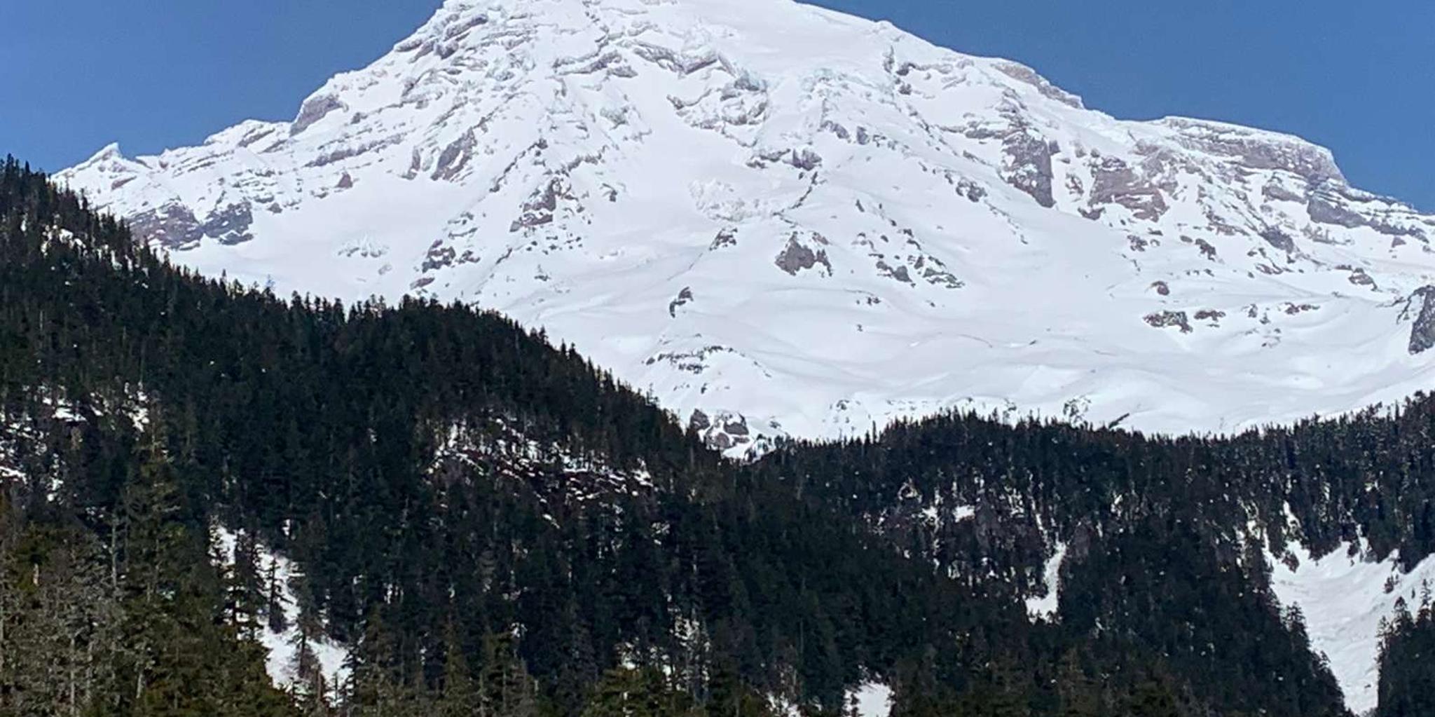 Seattle Mt. Rainier Guided Hike - Image 5