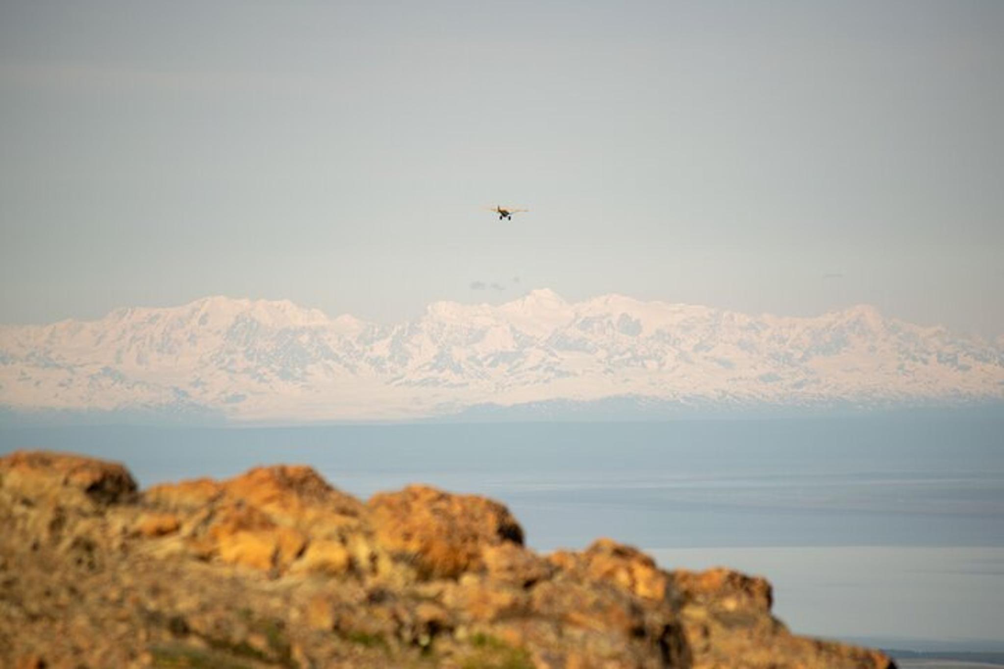 Anchorage Flattop Mountain Guided Hike with Pickup - Image 5