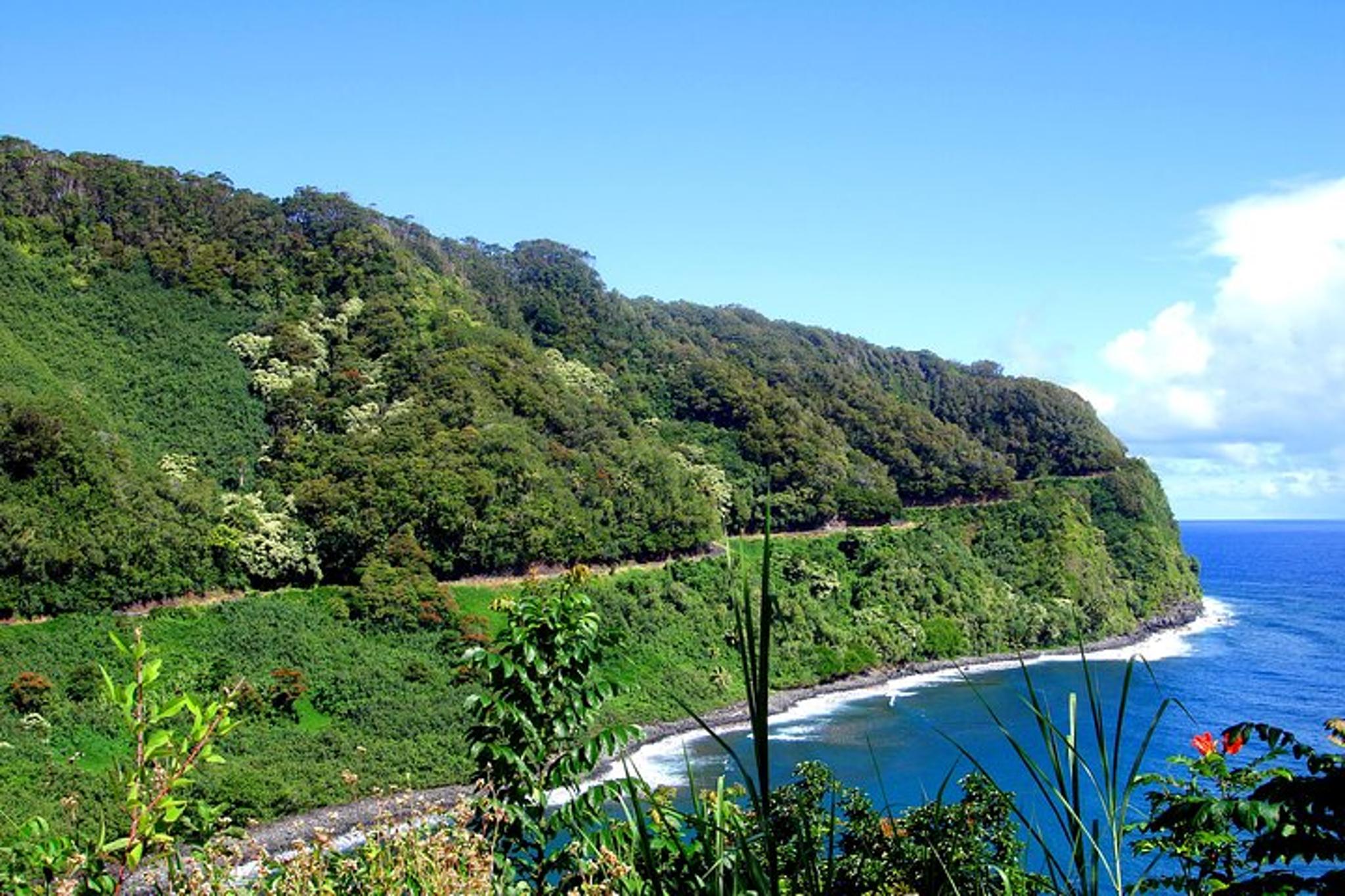 Maui Road to Hana Tour - Image 3