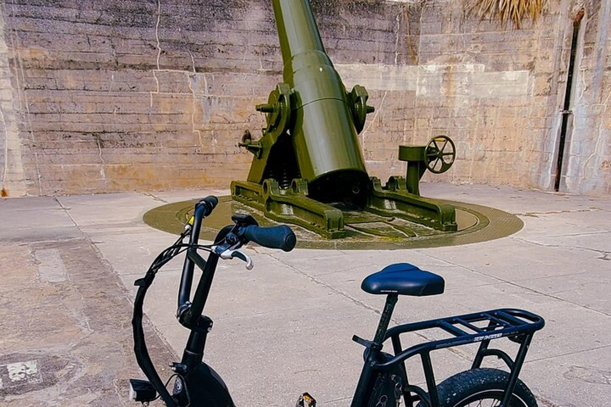 Fort De Soto Electric Bike Wildlife & History Tour - Image 2