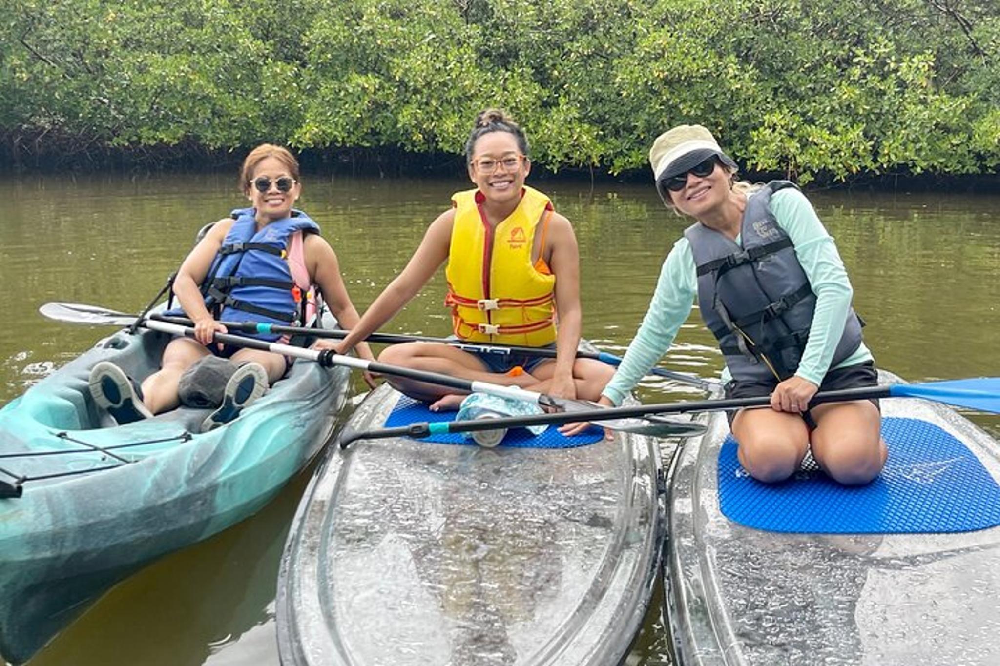 Bonita Springs EcoTour: Clear Kayak and SUP - Image 4